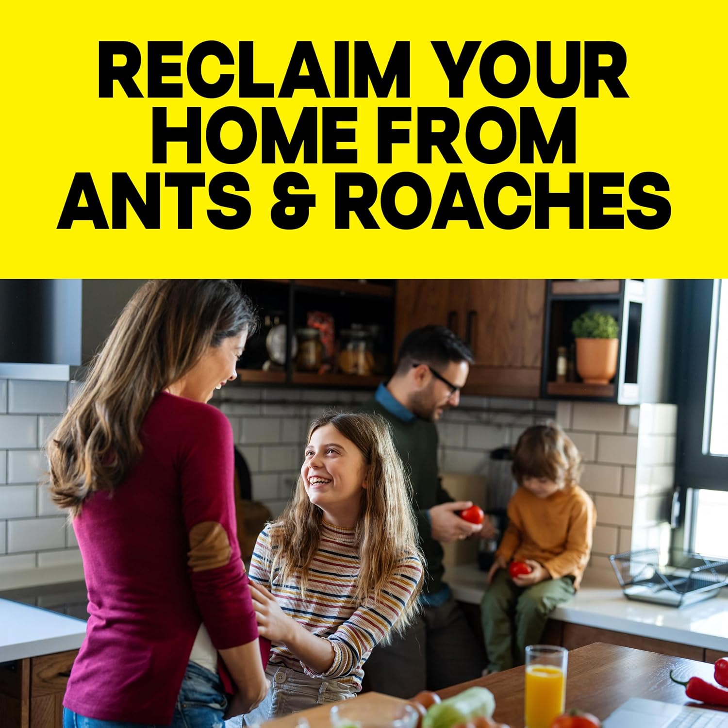 Raid Ant & Roach Killer 26, Fragrance Free Bug Killer for Home Use, Kills Bugs on Contact, 17.5 Oz, 2 Count