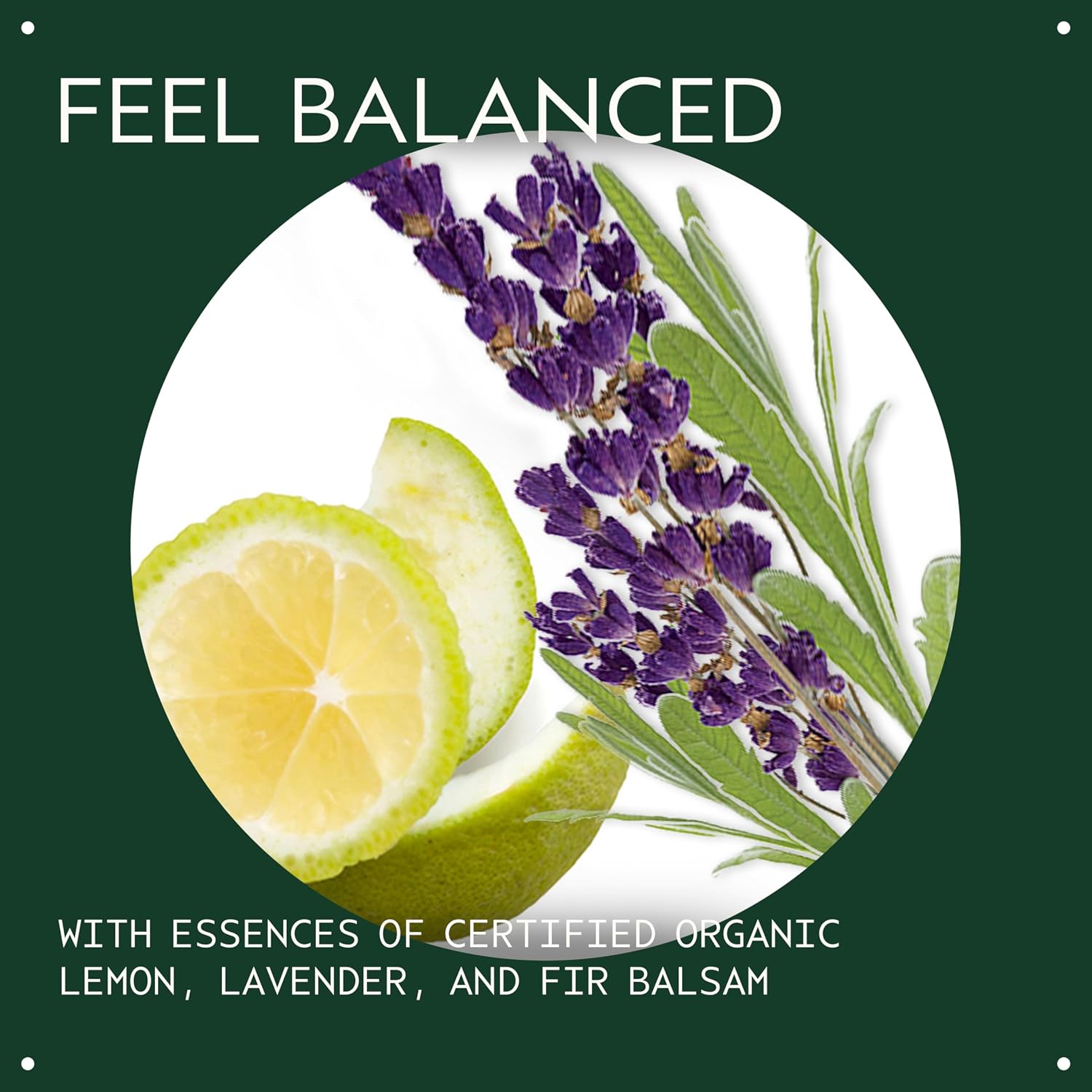 Aveda Chakra 3 Balancing Pure-Fume Mist: Intention | Body & Room Spray | Balances Power Chakra | With Certified Organic Lavender, Lemon, Fir Balsam