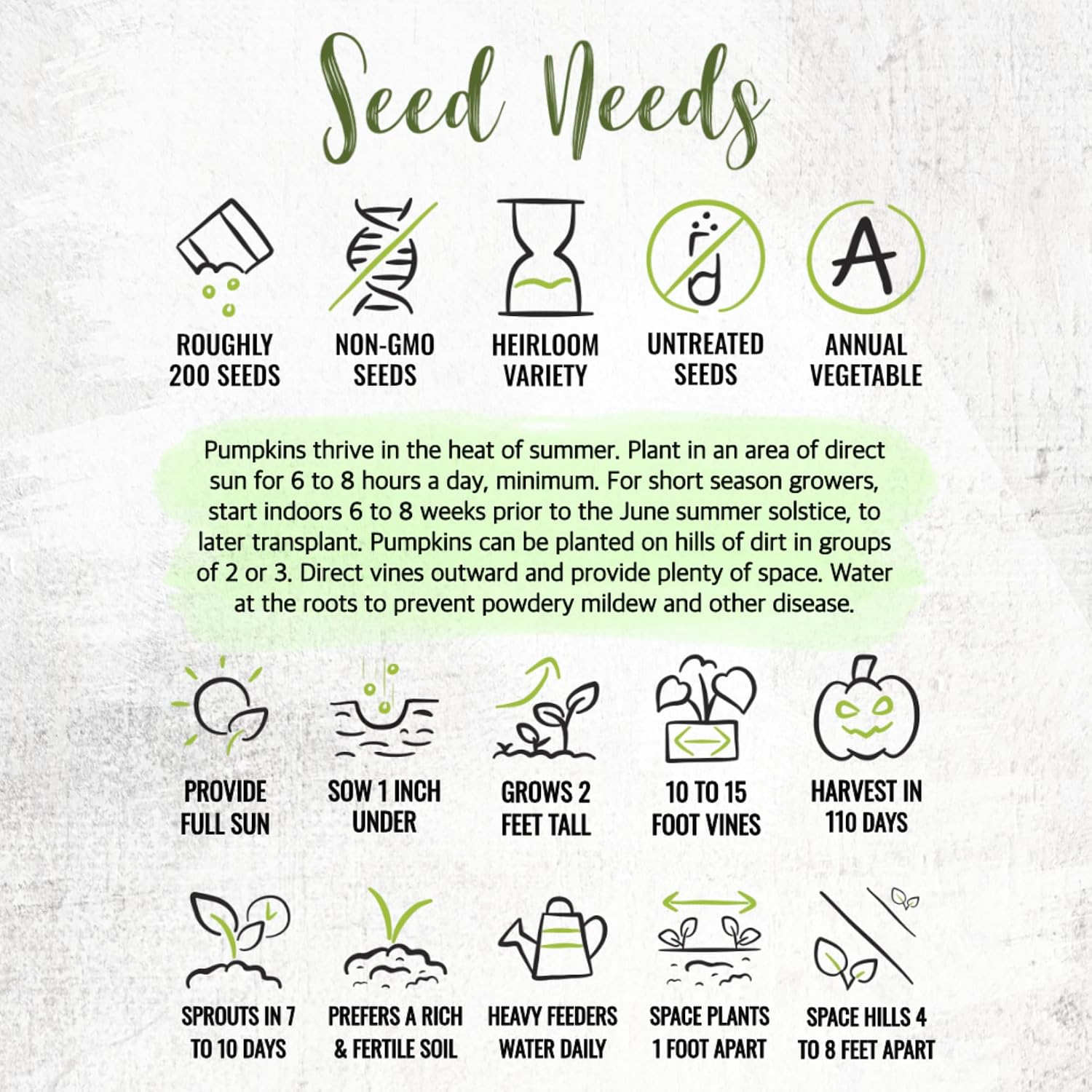 Seed Needs Pumpkin Seeds to Plant 100 Seeds Spooky Mix Non GMO Bulk Pack