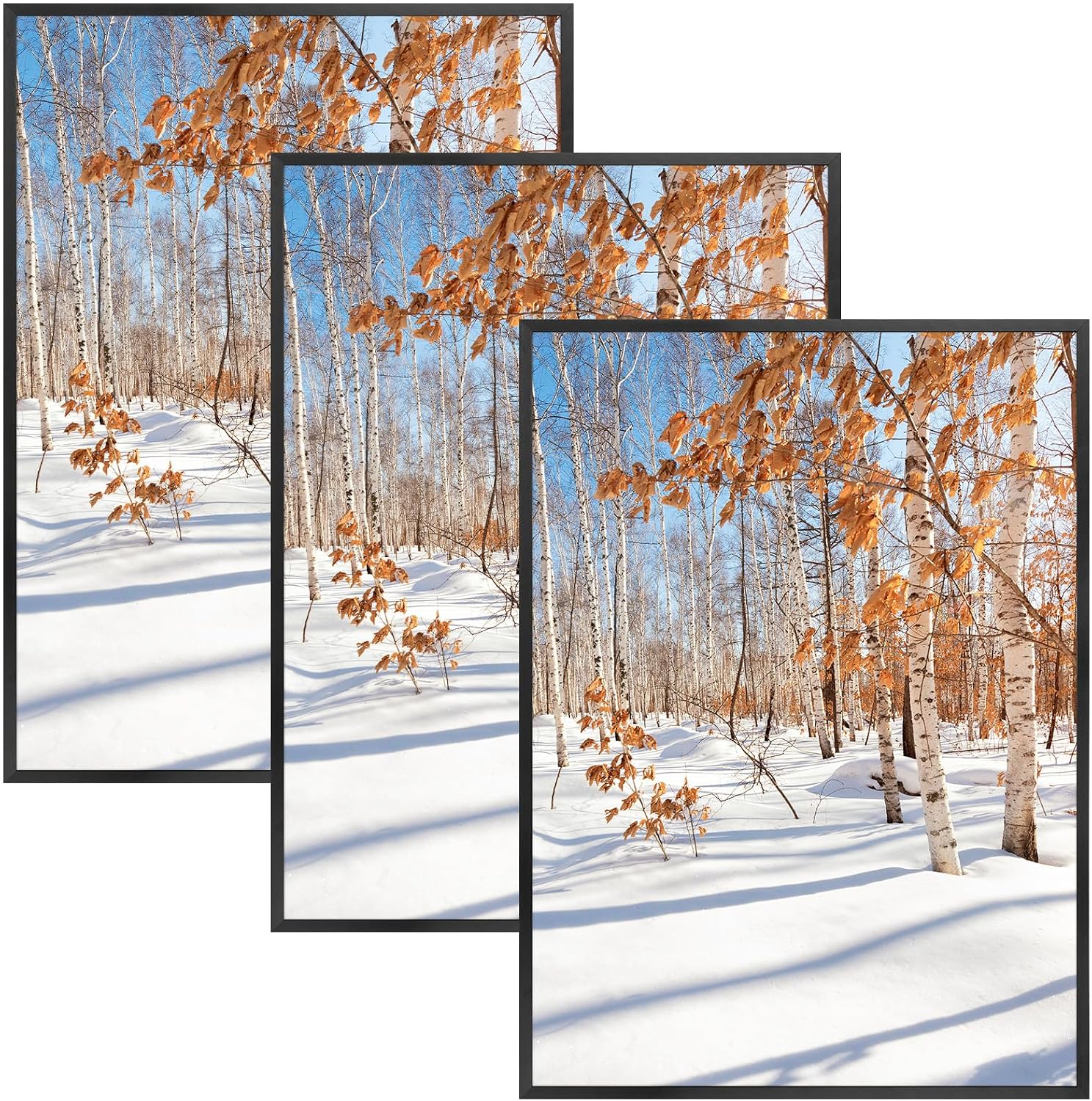 Golden State Art 3 Pack 12x12 Black Aluminum Frames, Real Glass Fronts