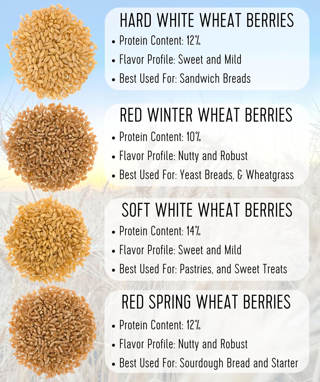Palouse Brand Certified Glyphosate Residue Free Hard Red Winter Wheat Berries | 5 LBS | Family Farmed in Washington State | Non-GMO Project Verified | Certified Kosher Parve