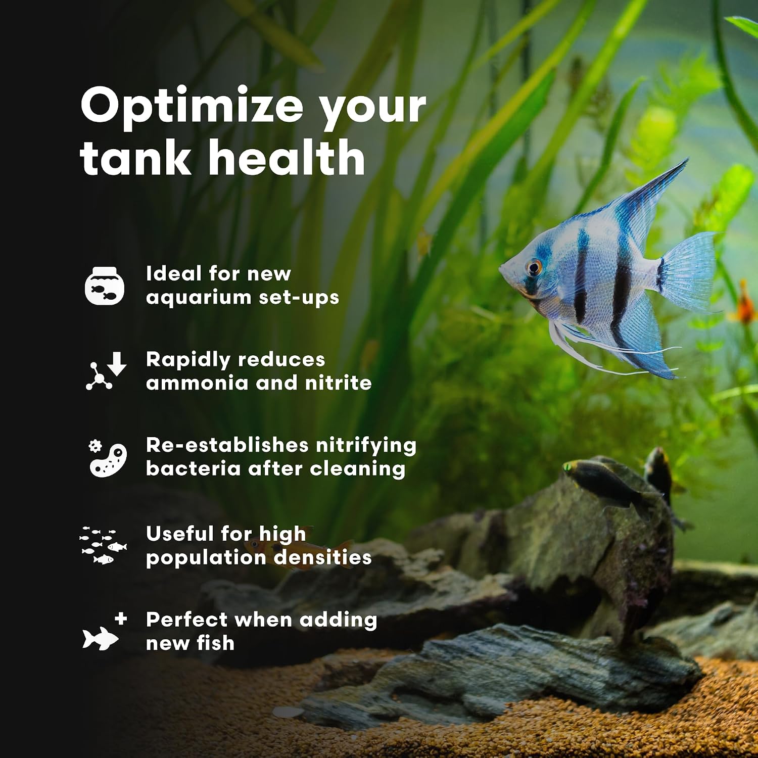 Brightwell Aquatics MicroBacter Start XLF Freshwater Tank Starter, 125 ml