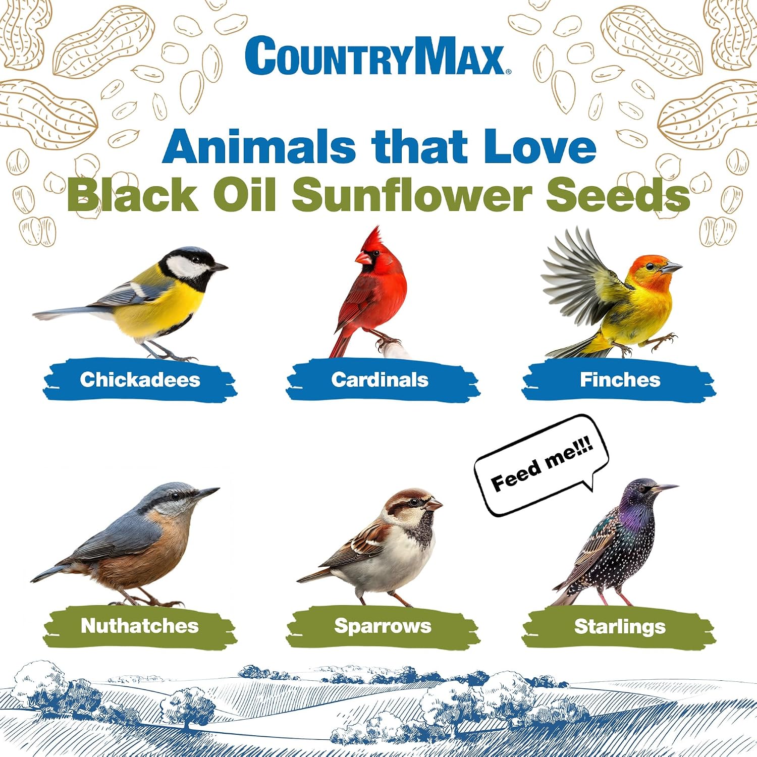 CountryMax Shelled Sunflower Chips 10 lb - No Waste Bird Seed for Outside Feeders, Resealable Bag of Wild Bird Feed | For Smaller Beaks, No Mess, No Waste. High Energy & USA Sourced. For Ground Feeding or Bird Feeders, For Year-Round Feeding