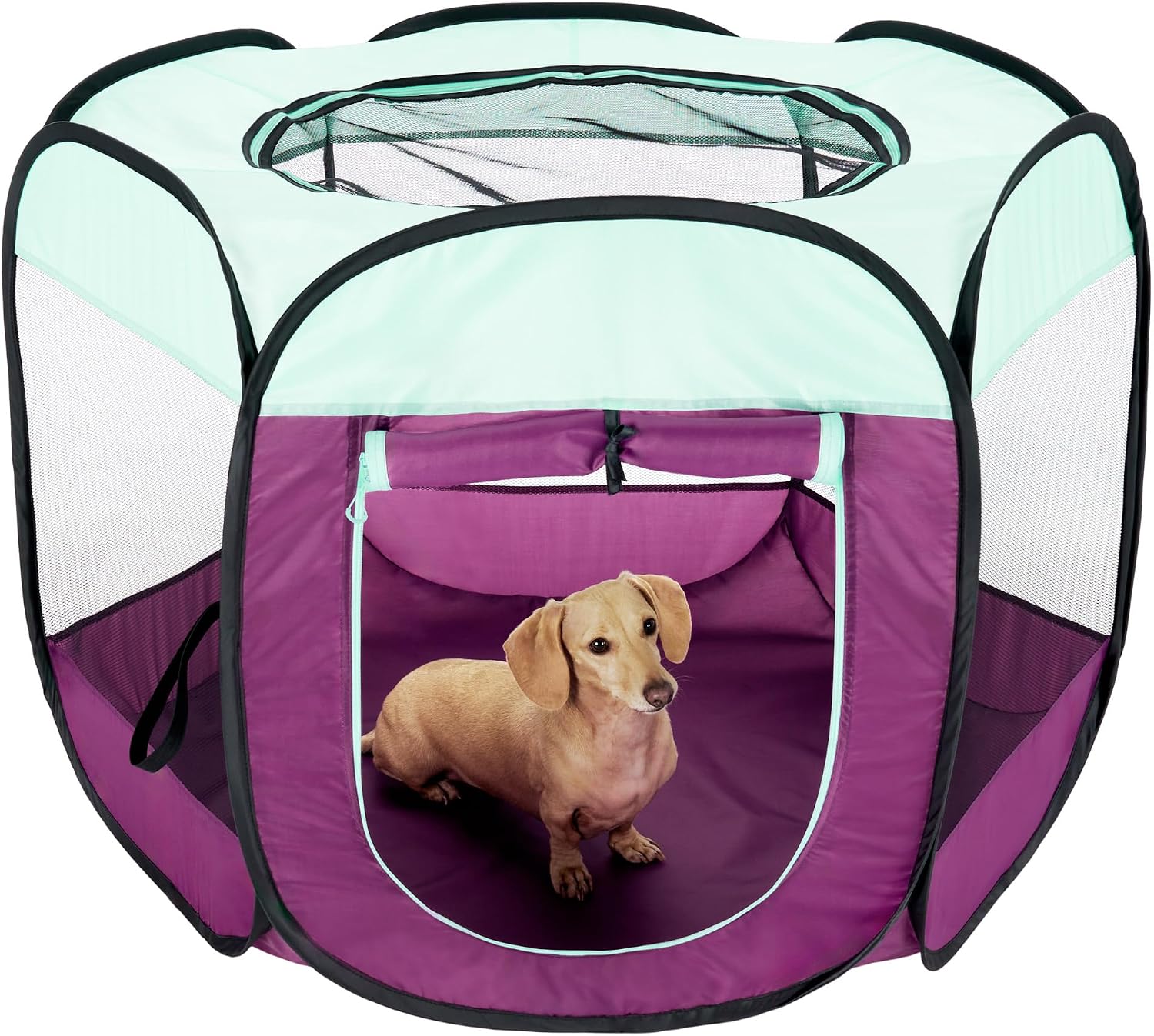 Furhaven Portable Dog Playpen Cat Tent, Pet playground,Kennel foldable indoor outdoor zippered puppy crate - Hunter Green, Medium