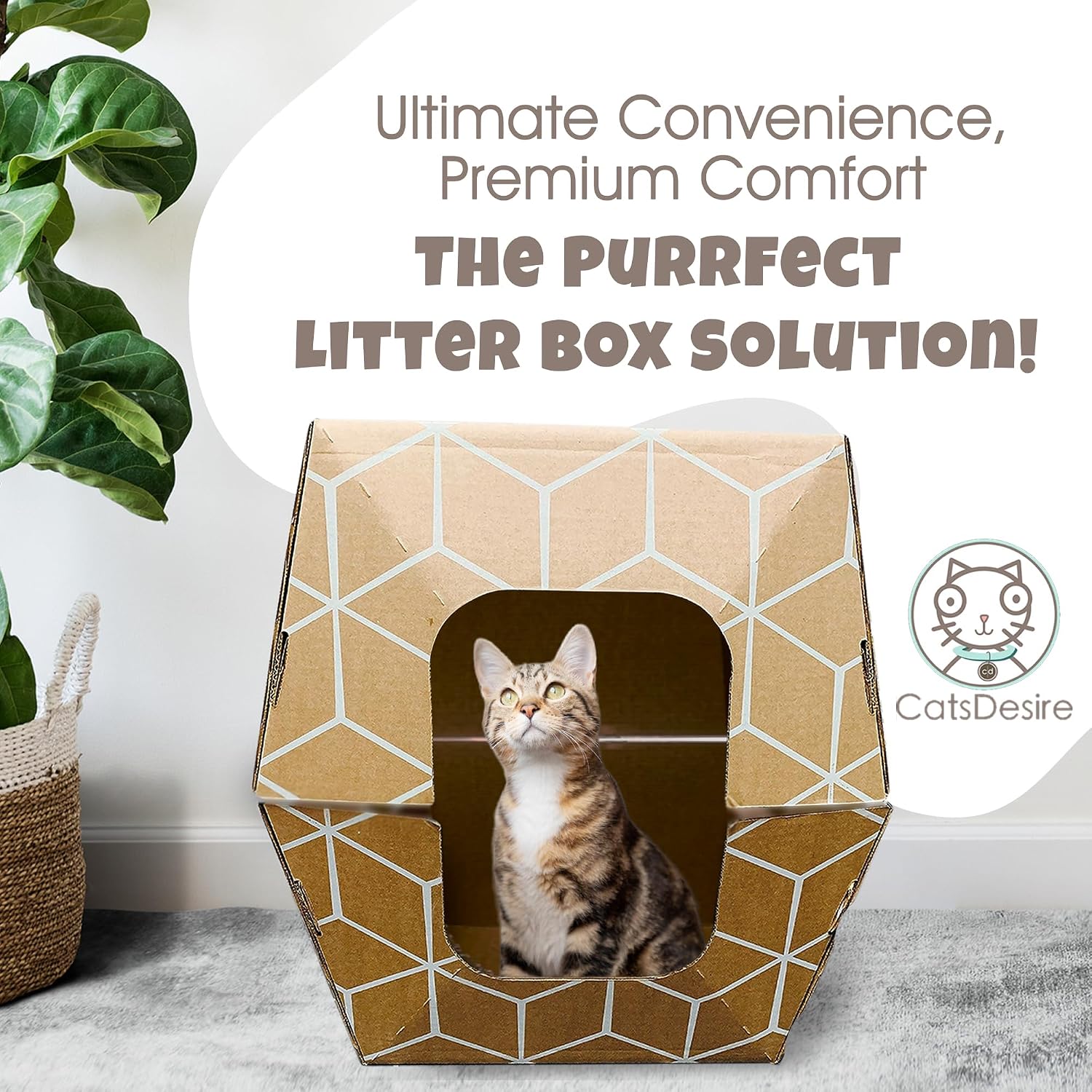 Cats Desire 3 - Pack Tallest Disposable Litter Boxes 8.5" Tall Tray - 17" Tall Enclosed High Sided Extra Large Cat Litter Tray Patented Made in USA