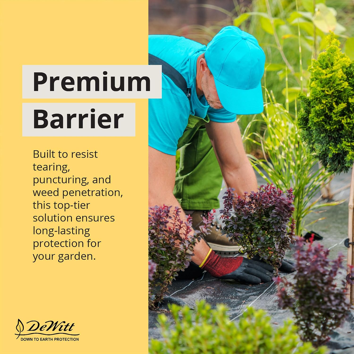 Dewitt Sunbelt Weed Barrier Fabric, 3.2 oz, 3 x 300 Feet – Heavy-Duty Ground Cover Mat for Greenhouse Floors, Garden Rows, Raised Beds, Grass and Yard Gardening, and Outdoor Landscape Protection | Ground Cover Mat for Greenhouse Floors, Garden Rows, Rais…