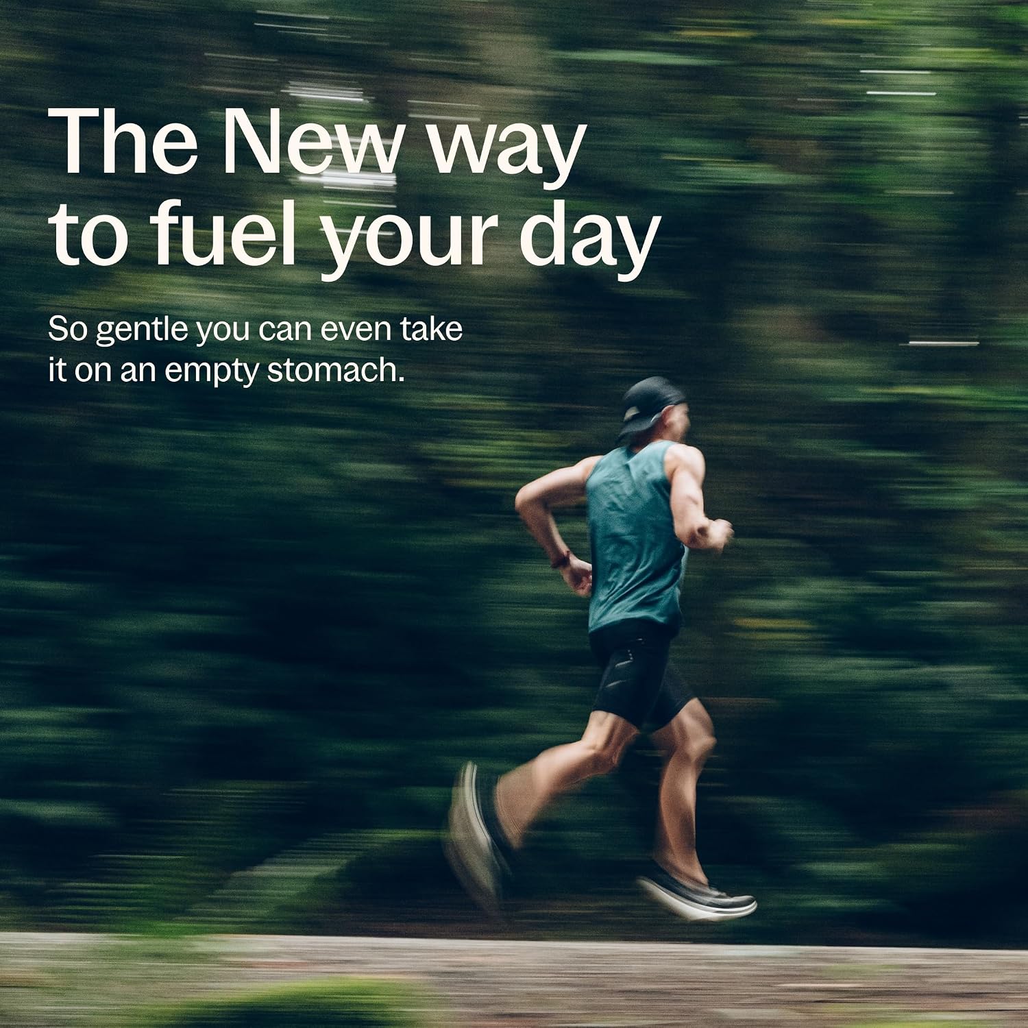 New Chapter One Daily Every Man's Multivitamin 40+ - Offers Eyesight, Immune System & Cellular Energy Support* - Contains Vitamin C, Saw Palmetto & More - Gluten Free & Vegetarian - 96 Tablets