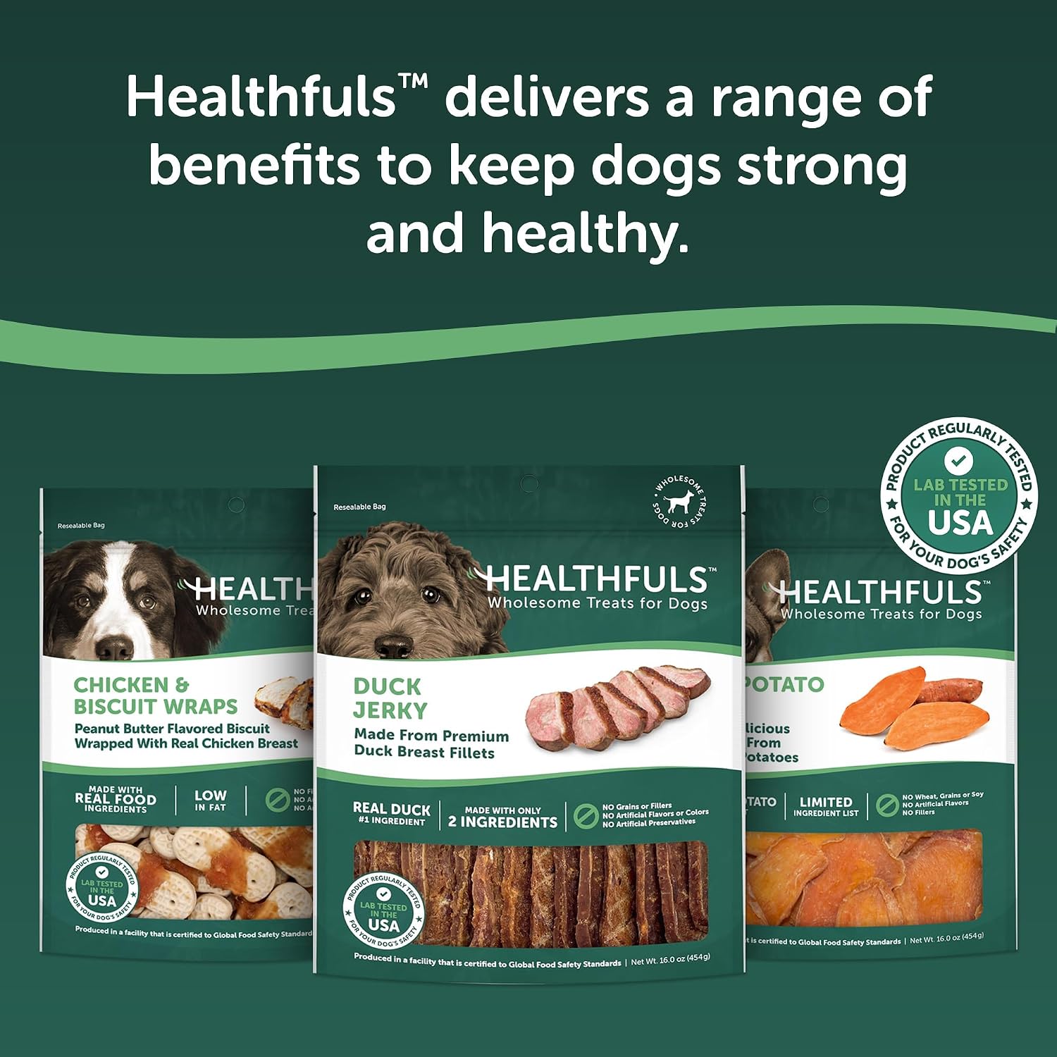Healthfuls Duck Jerky Healthy Dog Treats – Grain Free, Real Duck Breast Fillets, No Fillers or Artificial Ingredients, All Life Stages – 16 ounces