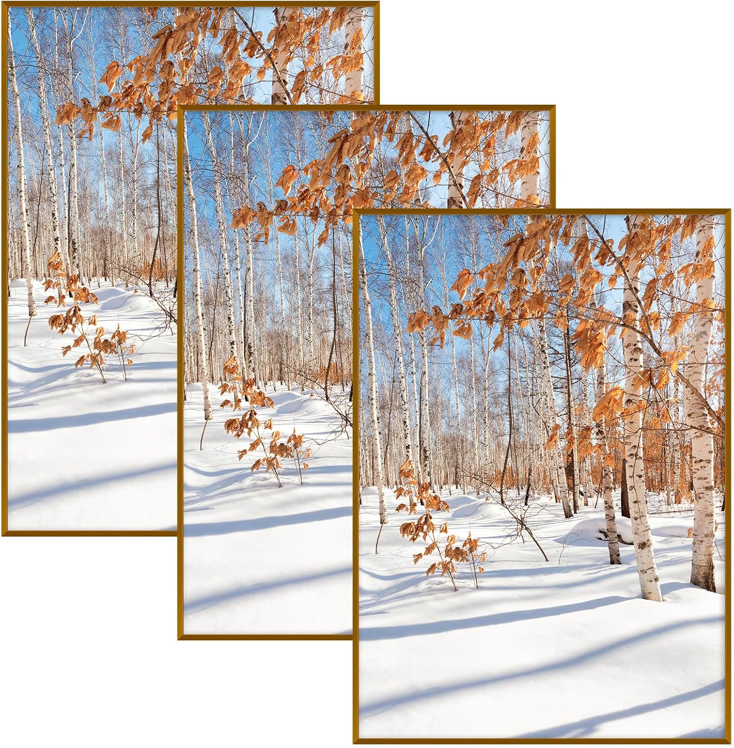Golden State Art 3 Pack 12x12 Black Aluminum Frames, Real Glass Fronts