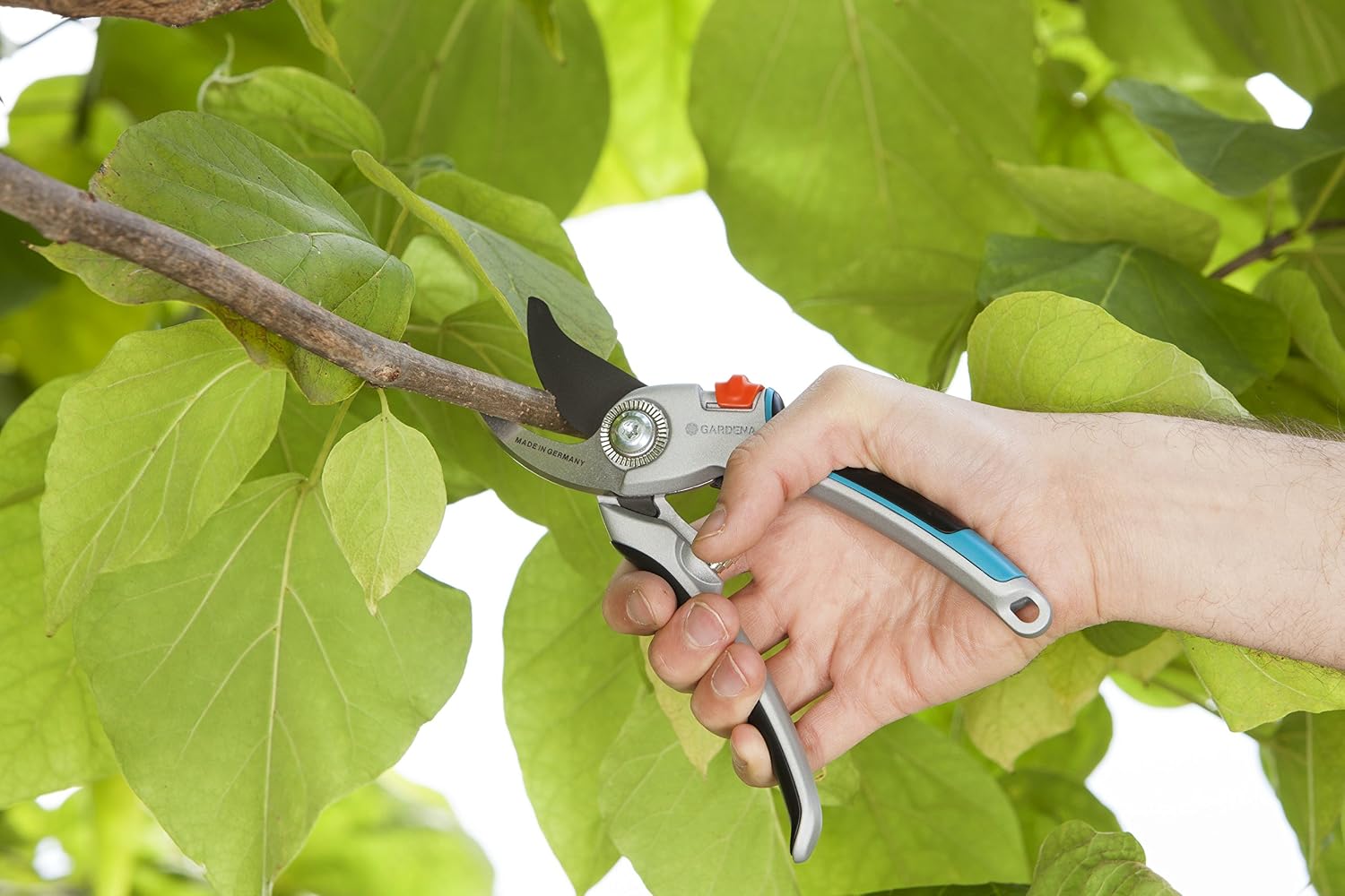 GARDENA (8906) Adjustable Bypass Garden Pruning Shears for Trees, Roses, and Flowers up to 1". Heavy Duty Professional Scissors with Steel Cutting Blades, Sharp Trimming Pruners. Made in Germany