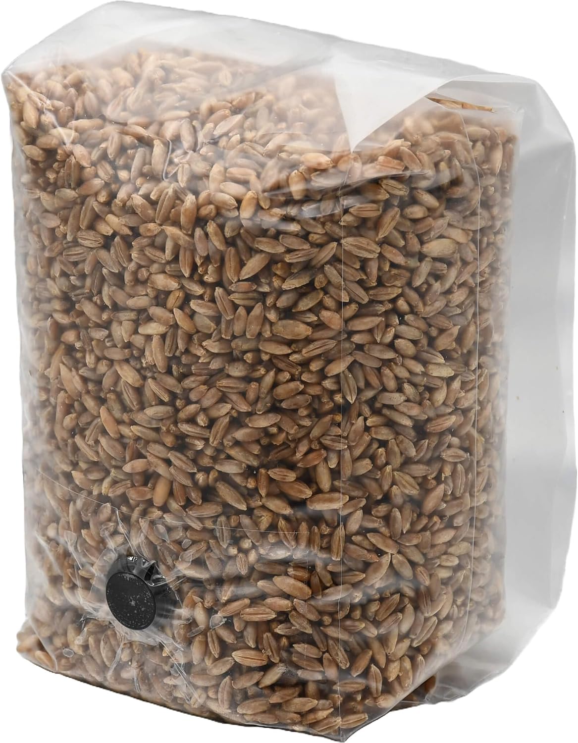 2 Pound Bag of Sterilized Rye Berries Mushroom Substrate with Self Healing Injector Port