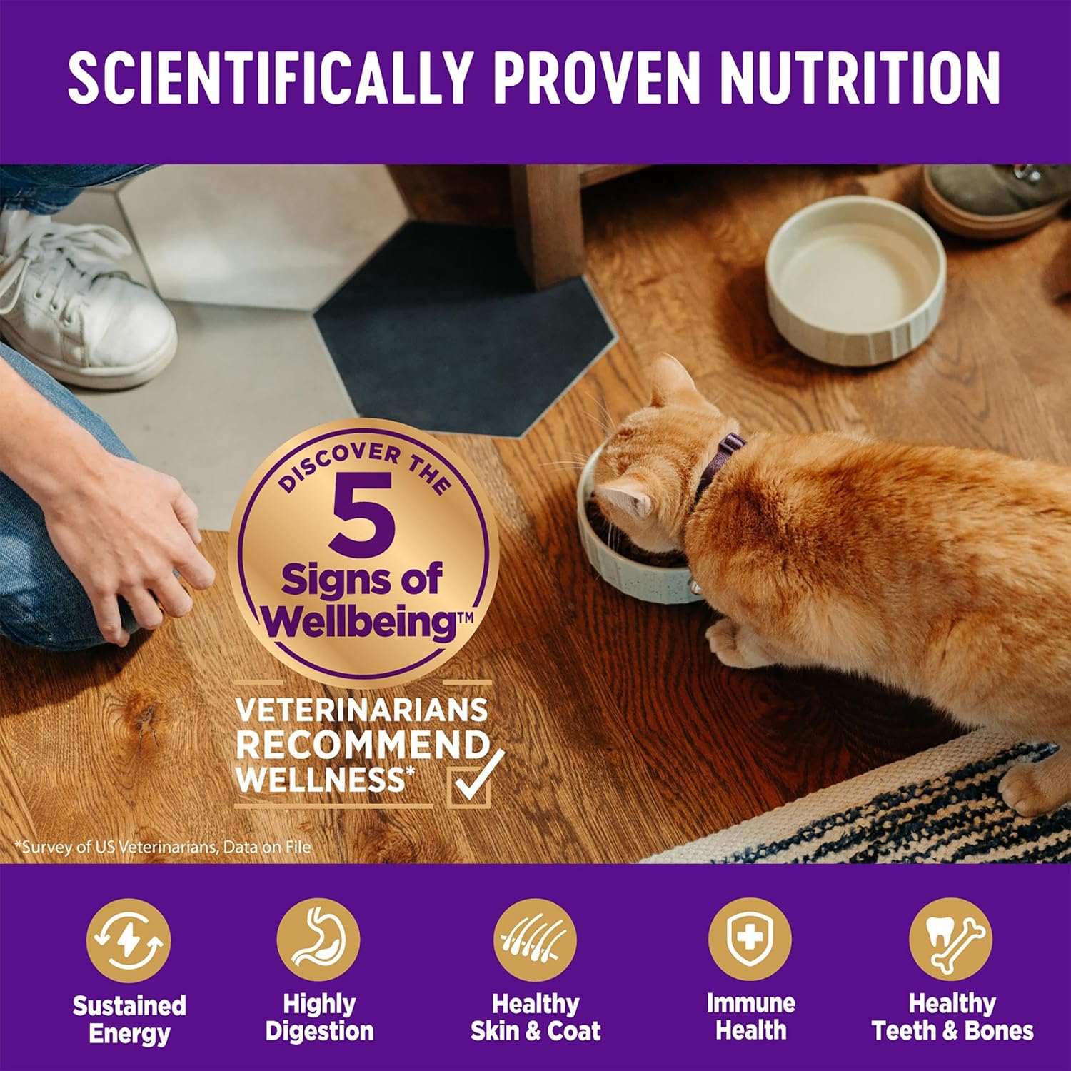 Wellness Complete Health Adult Dry Cat Food for Indoor Cats, Natural, Grain Free Kibble, Chicken Recipe, 11.5 lb Bag