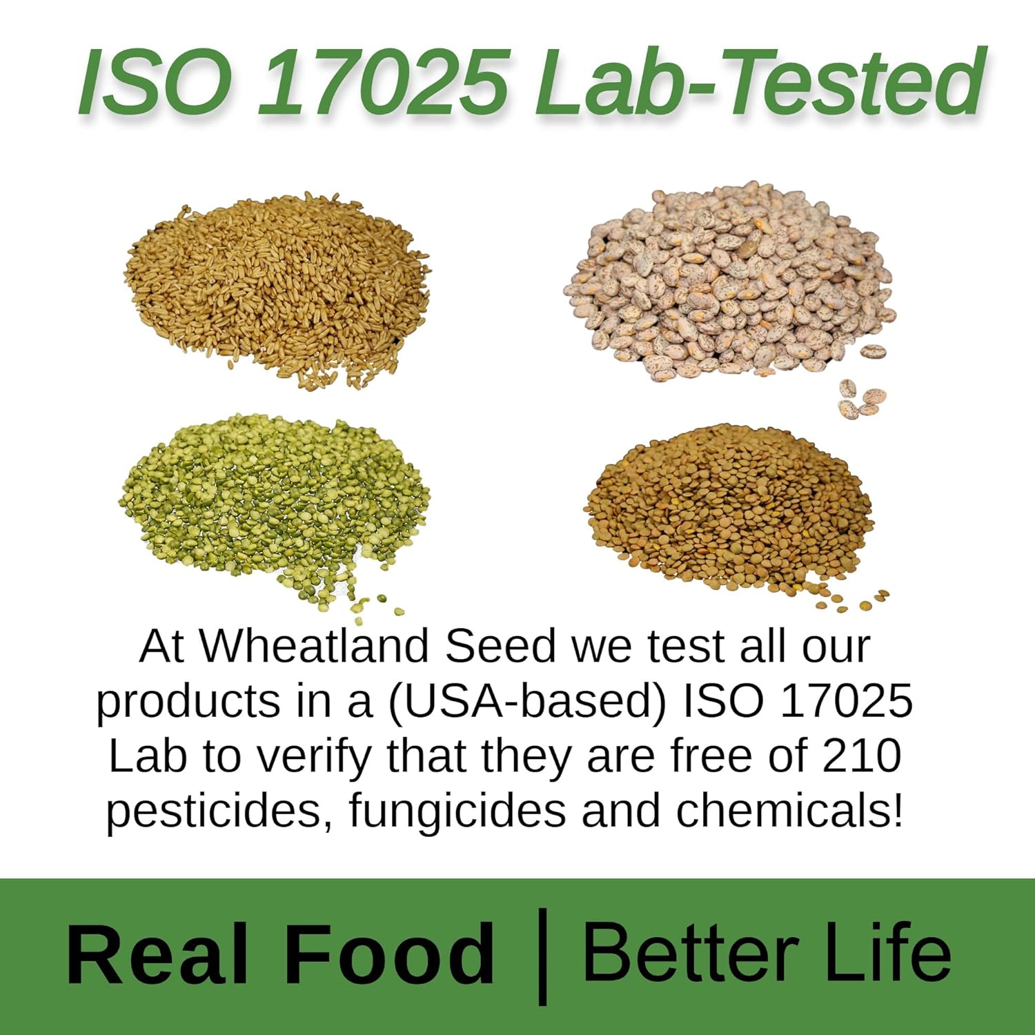 Hard Red Wheat Berries : Wheatland™ : 25 lb Bulk: Emergency Preparedness : Mylar : Oxygen Absorber : 30 Year Shelf Life : Non GMO: NO Glyphosate :