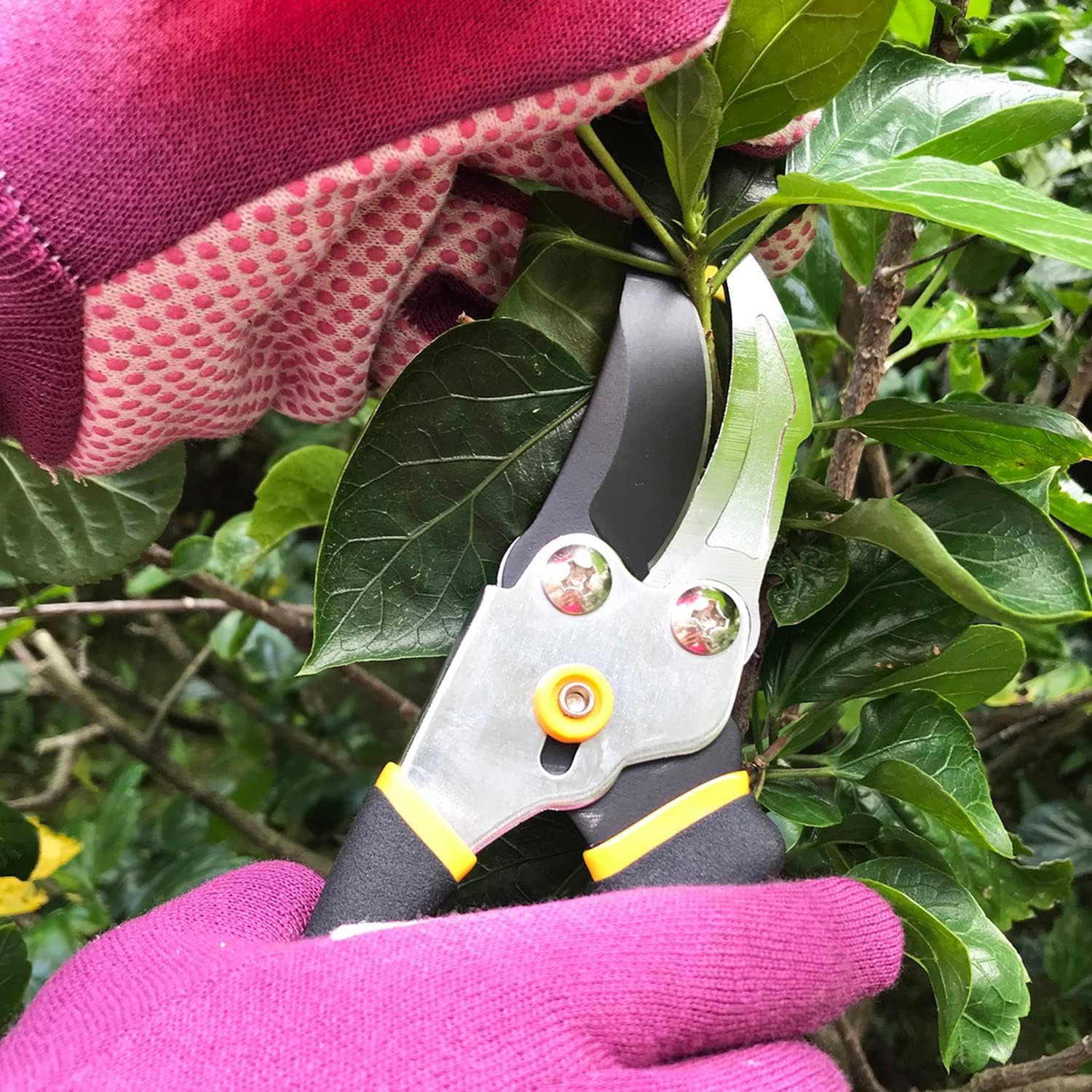 Centurion 1299 8" Steel Bypass Pruning Shears, Garden Shears, Hand Pruners, Tree Trimmers