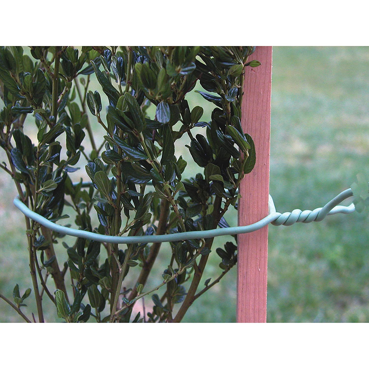 Luster Leaf 858 Rapiclip Soft Wire Tie Light Duty, 32', Green (2 Pack)