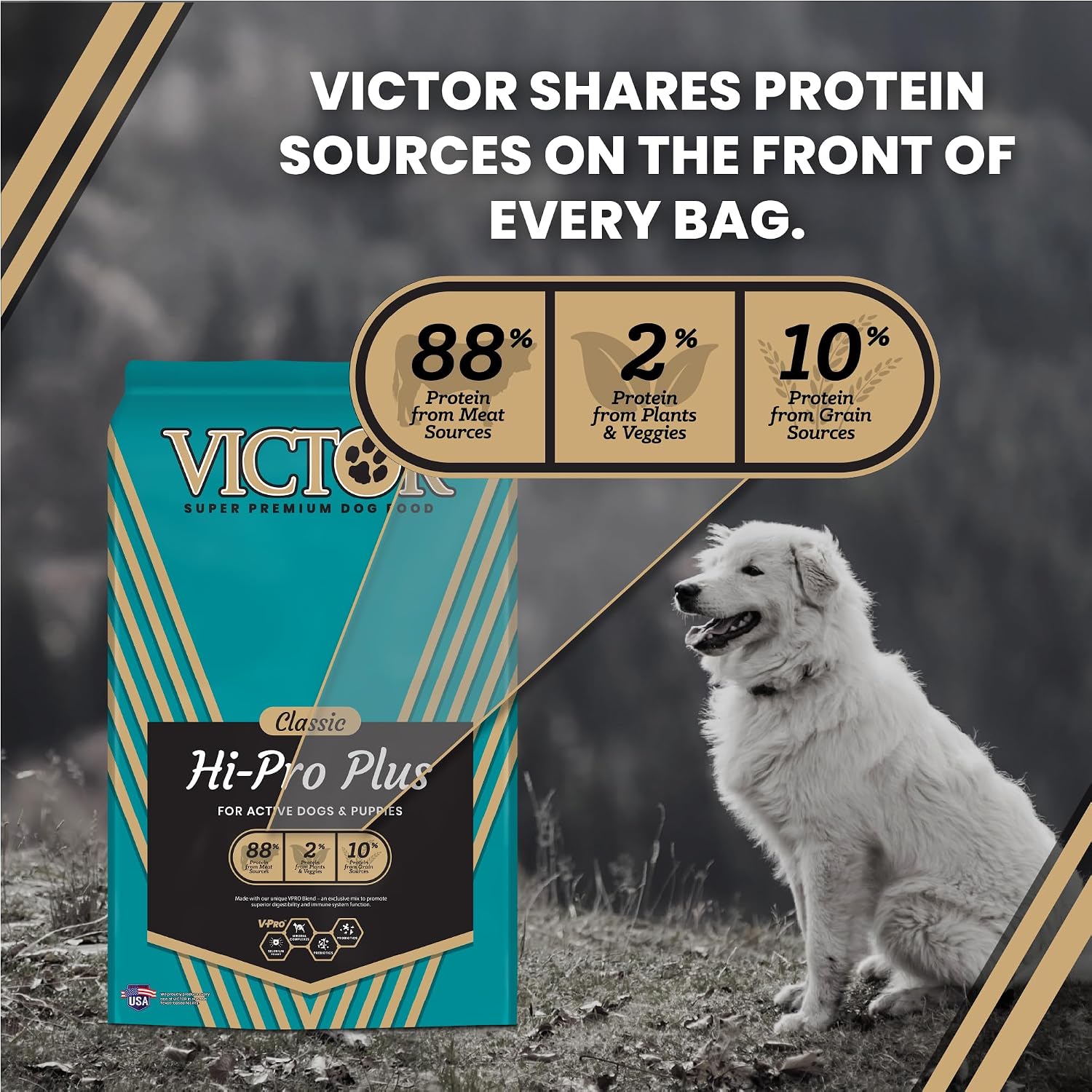 VICTOR Hi-Pro Plus Dry Dog Food - High Protein Gluten Free Dry Kibble, 5lb | Super Premium Dog Food, 30% Protein, Beef, Chicken, Pork and Fish Meals, For High Energy & Active Dogs & Puppies, 5lbs