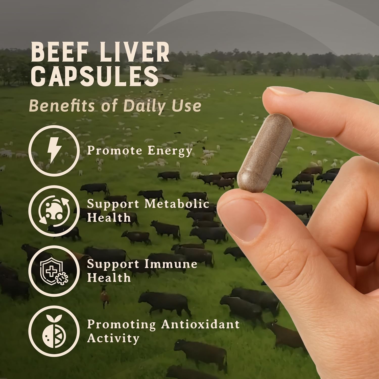 HEART & SOIL Beef Organs Supplement, 180 Capsules