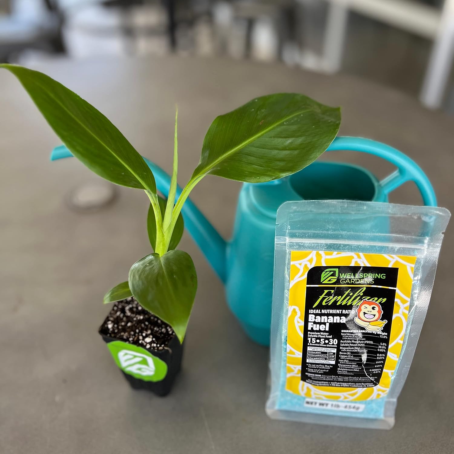 Wellspring Gardens Banana Fuel Fertilizer - Water-Soluble 15-5-30 Blend - Fertilizer for Banana Trees & Plants - Grow Healthy Plants (2 Pounds)