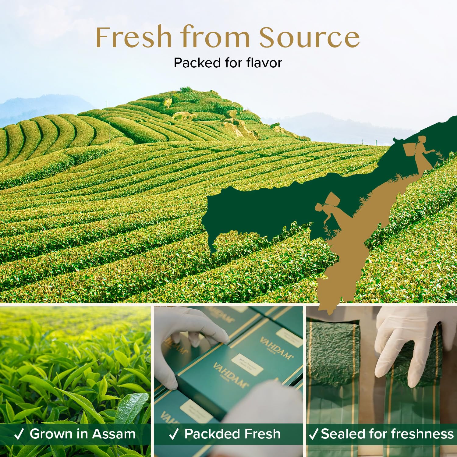 VAHDAM, Green Tea Leaves From Himalayas 170+ Cups (12oz) High Elevation Grown Green Tea Leaves From Himalayas | Pure Unblended Single Origin Green Loose Leaf Tea | Vacuum Sealed