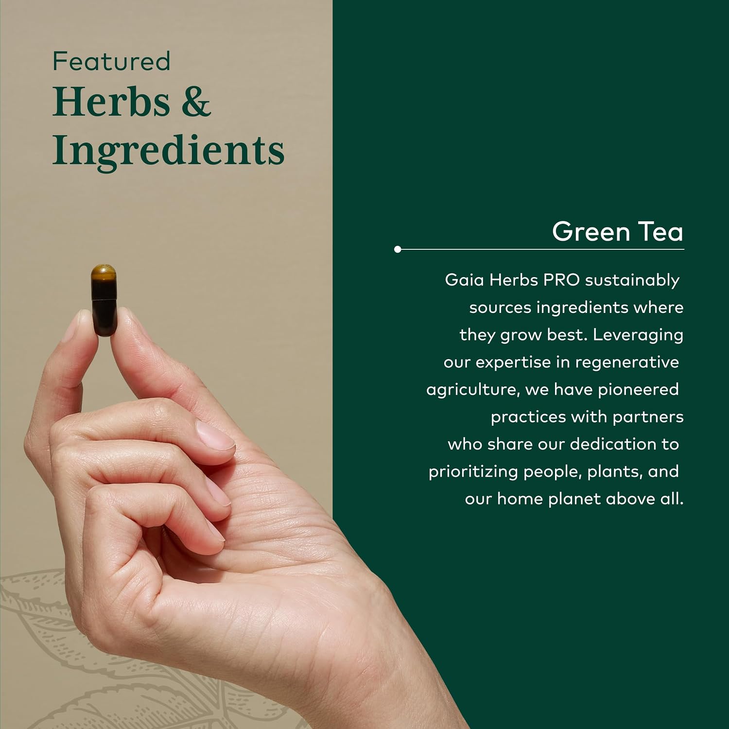 GAIA HERBS PRO Green Tea - Heart Health & Antioxidant Support Supplement* - Health Supplement with Green Tea Leaf Extract - Vegan, Gluten-Free