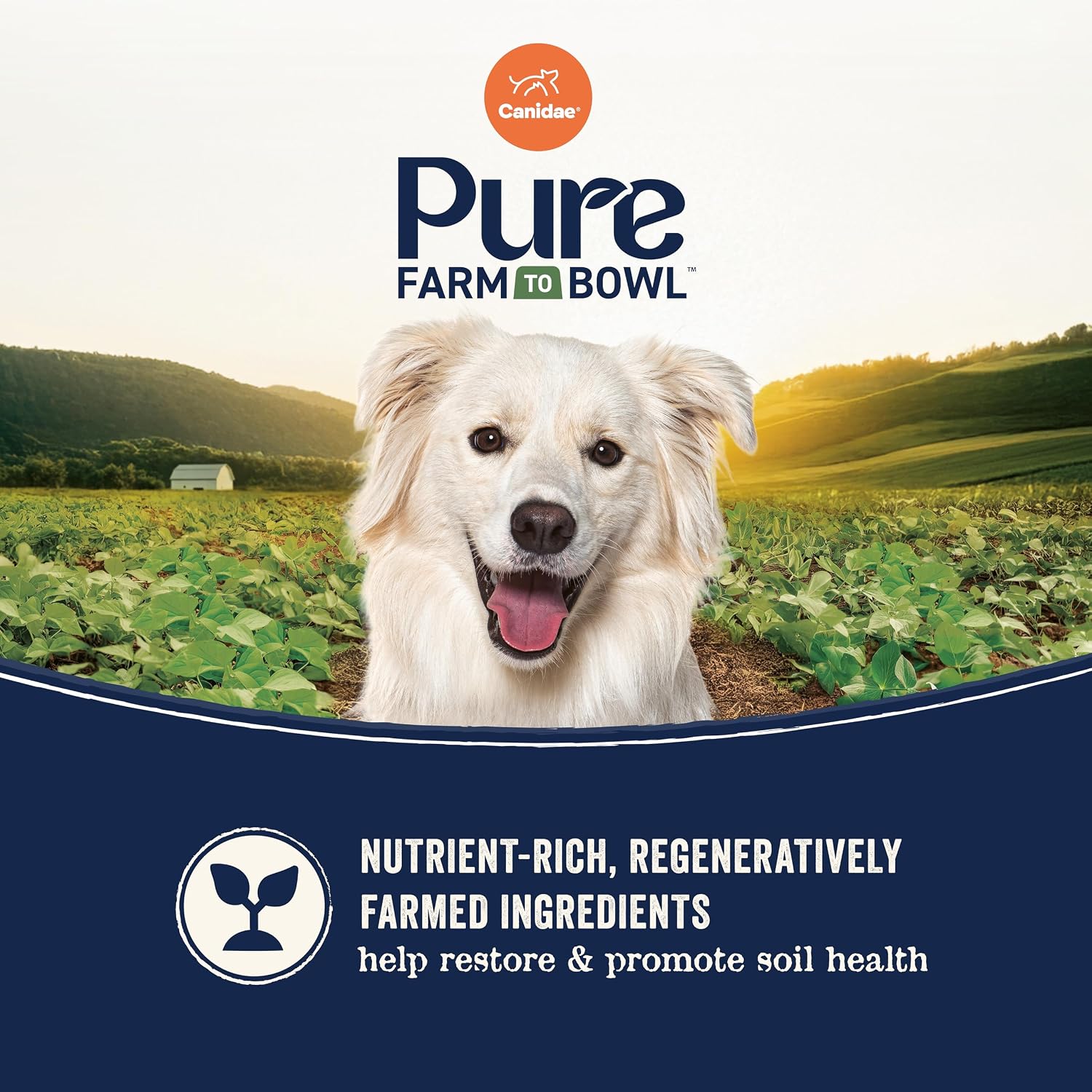 Canidae Pure Farm to Bowl Dry Dog Food - Balanced Nutrition for Adult Dogs - Limited Ingredient Formula - Grain, Wheat & Soy-Free - 22 lb - Wild-Caught Salmon & Sweet Potato Recipe