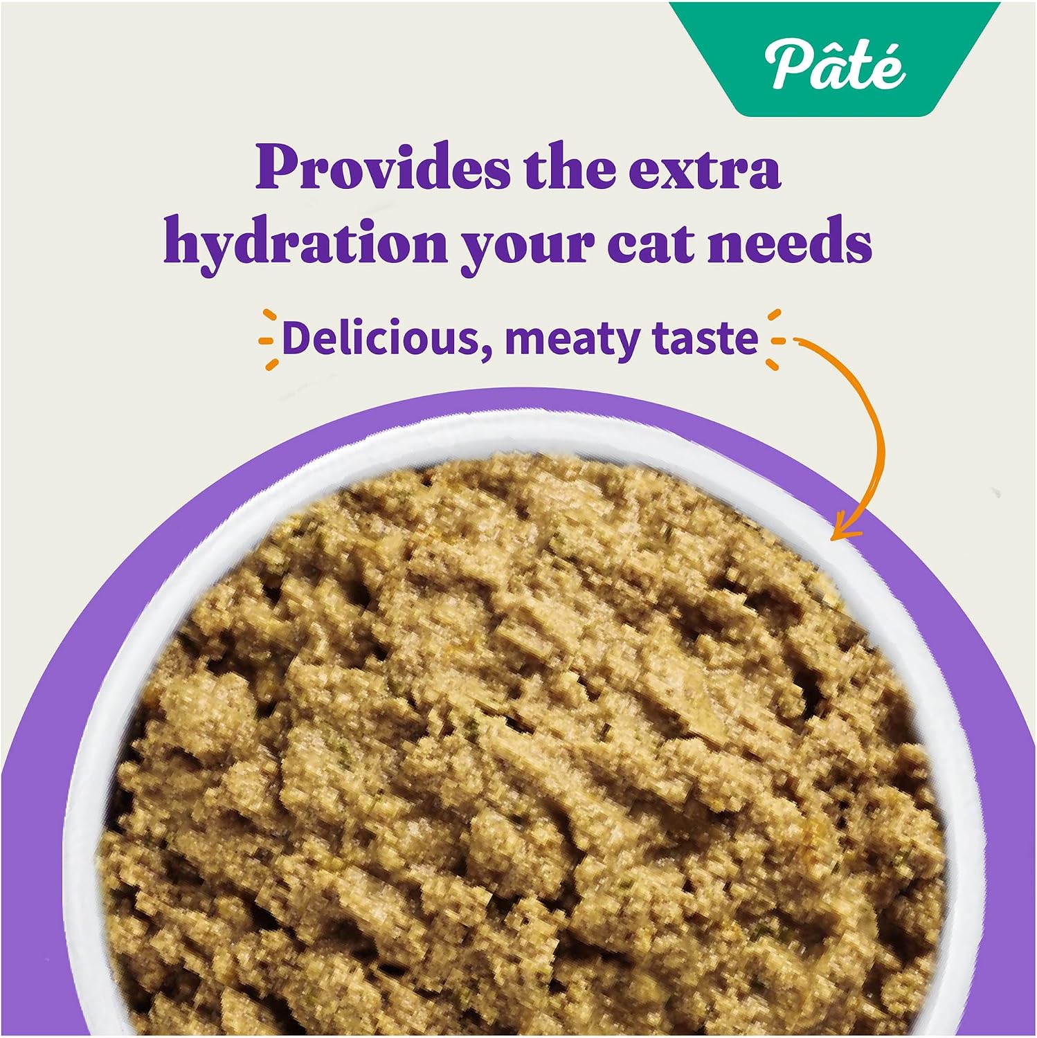 Halo Wet Cat Food Real Chicken Recipe, Grain-Free Wet Pate, Canned Cat Food for Extra Hydration, 5.5 Oz Can (Pack of 12)