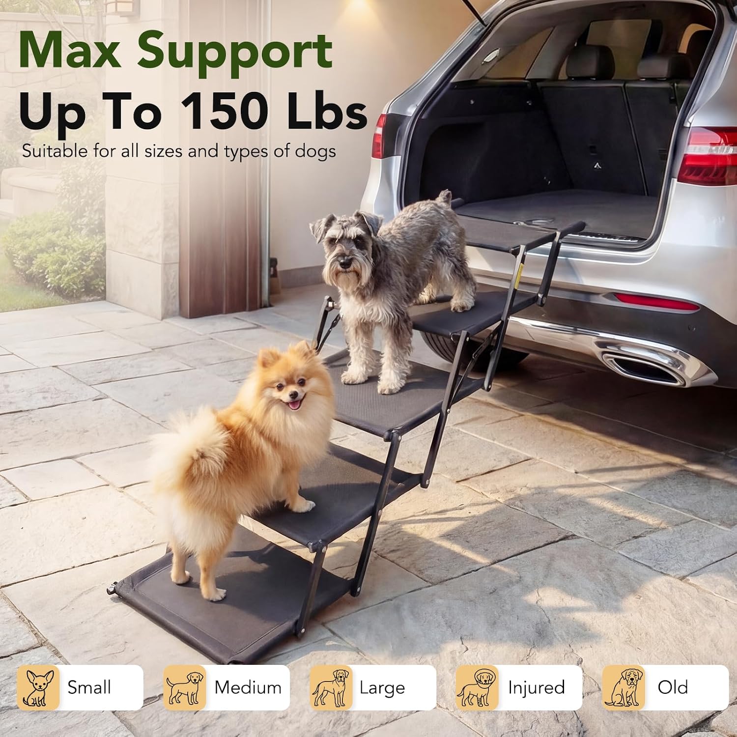 Dog Ramp for Car, Foldable 5-Step Dog Stairs for Small Dogs, 150 Lbs | Non-Slip Oxford Surface, Sturdy Steel Frame, Anti-Scratch Handle