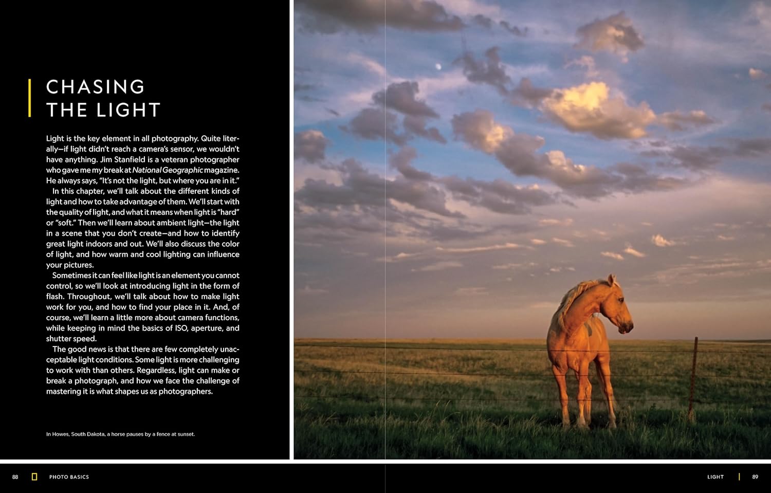 National Geographic Photo Basics: The Ultimate Beginner's Guide to Great Photography