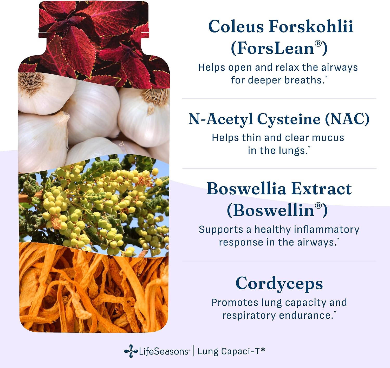 Lung Capaci-T - Respiratory Support Supplement - CoQ10, N-Acetyl Cysteine, Boswellia, Eucalyptus, Mullein, Green Tea