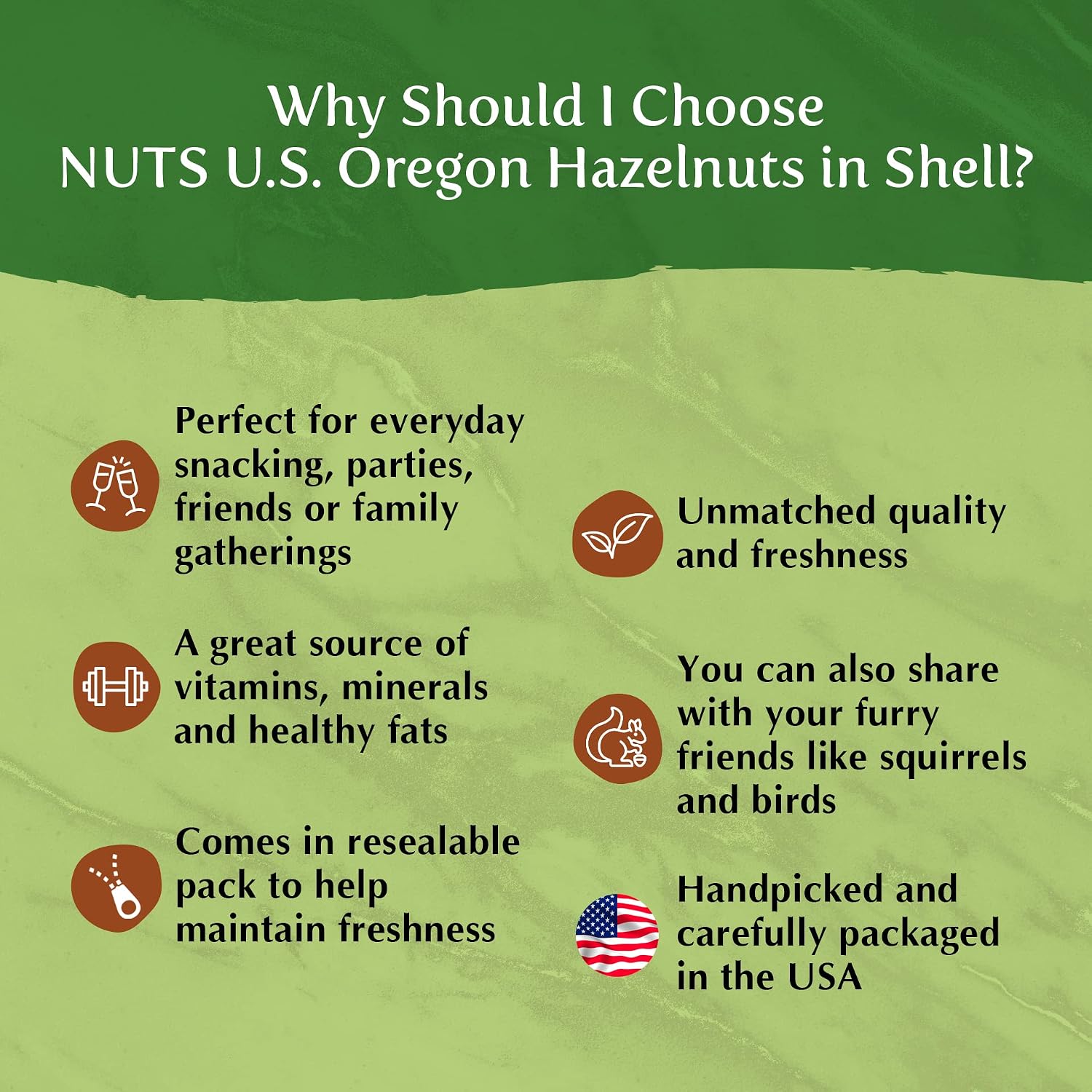 NUTS U.S. - Oregon Hazelnuts In shell | Whole