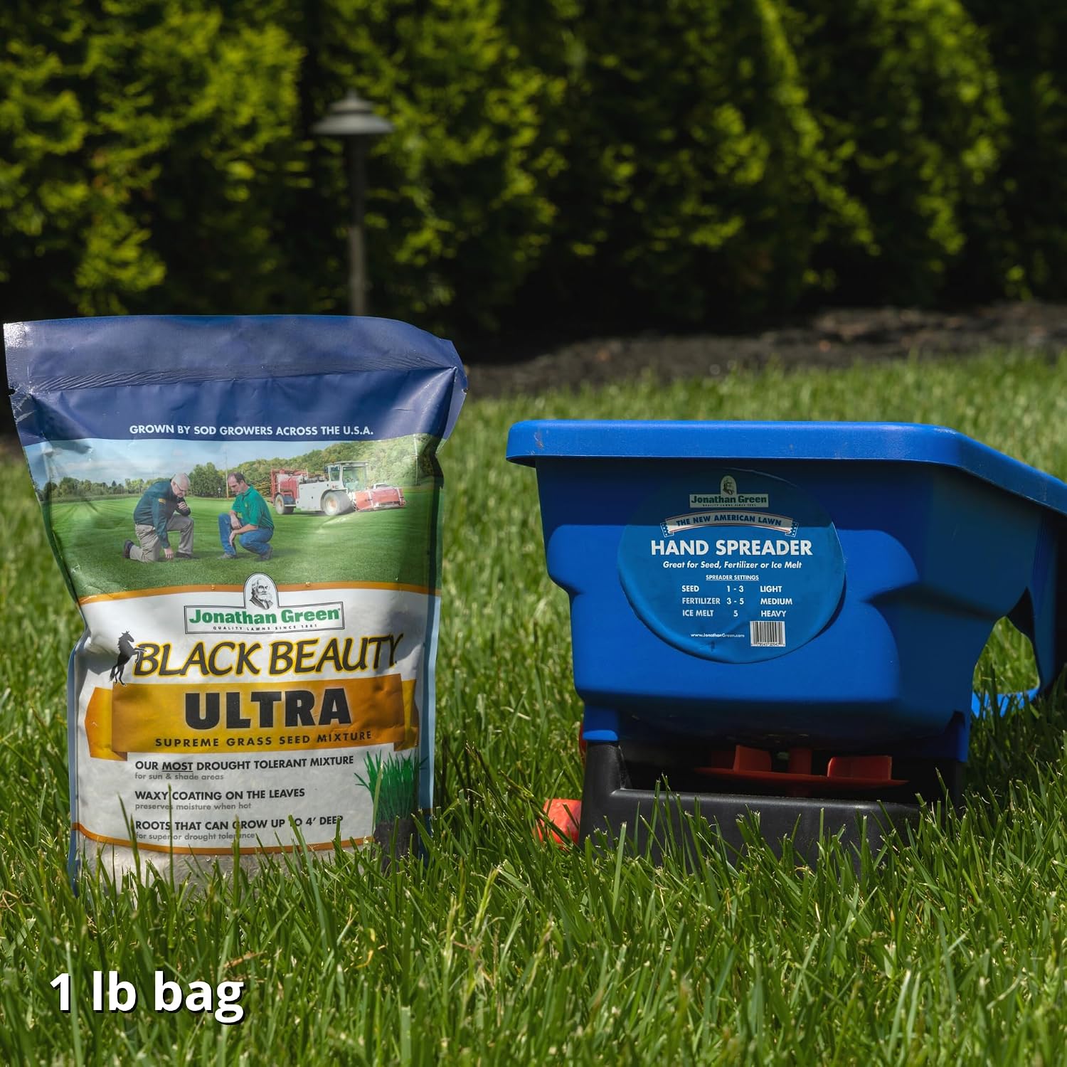 Jonathan Green (10323) Black Beauty Ultra Grass Seed - Cool Season Lawn Seed (25 lb)