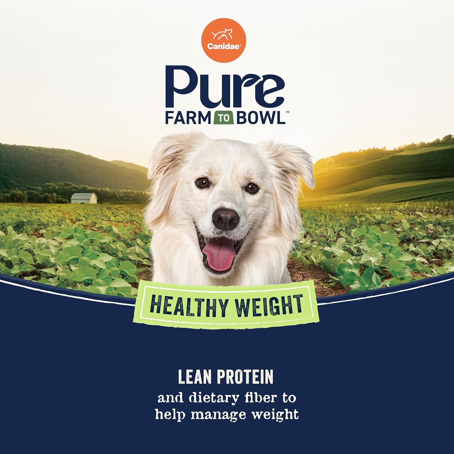 Canidae Pure Farm to Bowl Dry Dog Food - Balanced Nutrition for Healthy Weight - Limited Ingredient Formula - Grain, Wheat & Soy-Free - Healthy Weight Dogs - 12 lb - Free-Range Chicken & Pea Recipe