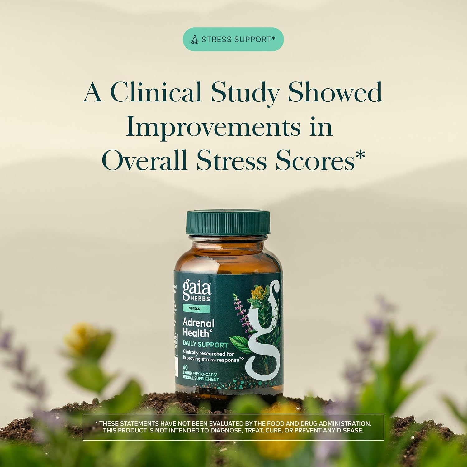 Gaia Herbs Adrenal Health Daily Support - Herbal Supplement with Ashwagandha, Holy Basil & Schisandra - Help Maintain Healthy Energy & Stress Levels* - 60 Vegan Liquid Phyto-Caps (30 Servings)