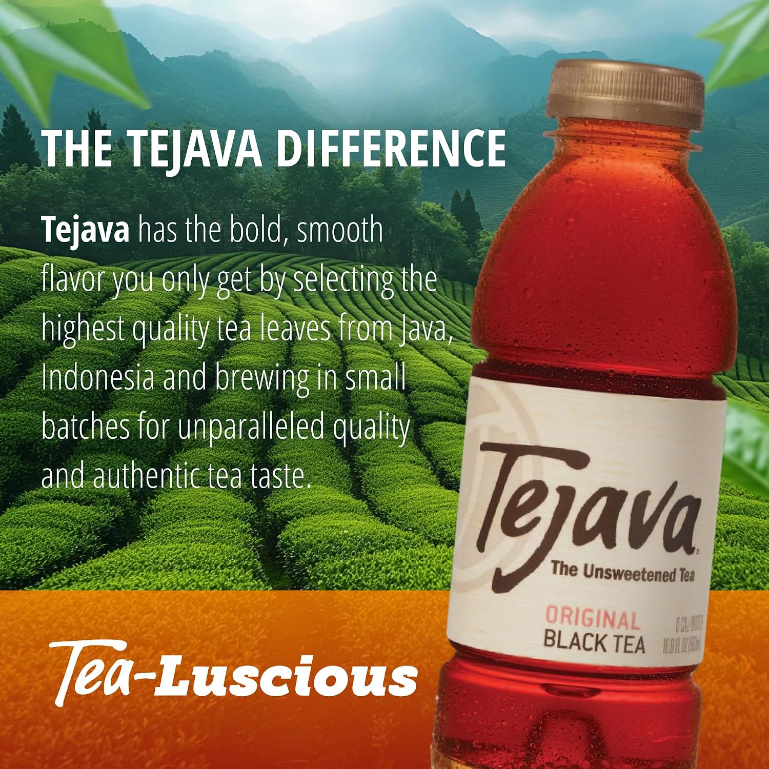 Tejava Pineapple Mango Unsweetened Black Iced Tea, 16.9 fl oz, Pack of 12
