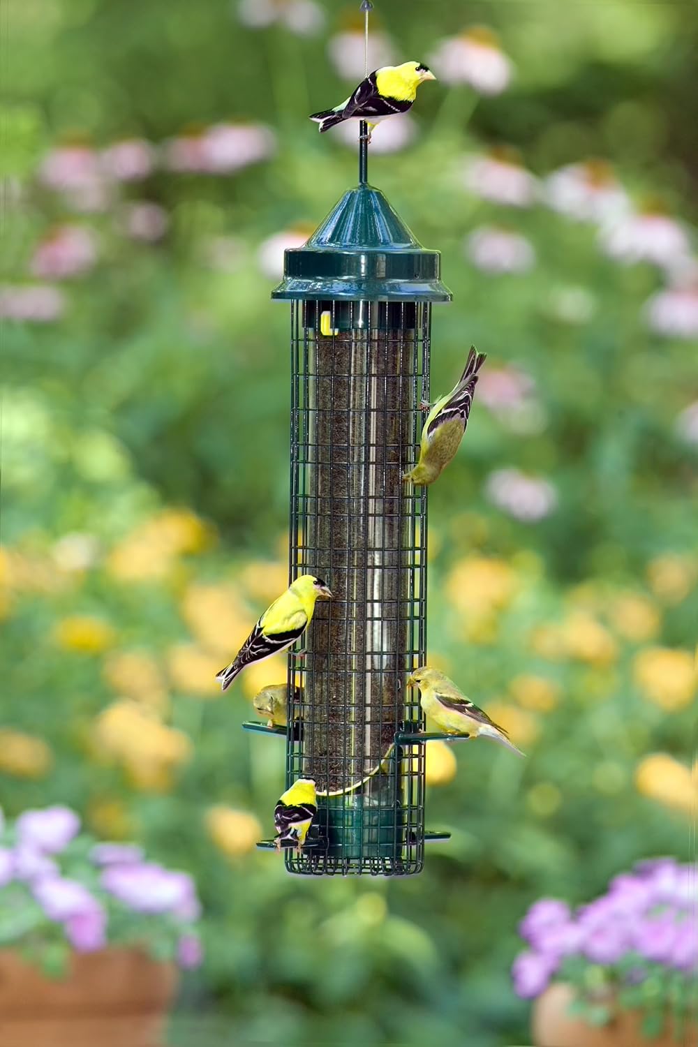 Squirrel Buster® Nyjer® – Squirrel-Proof Nyjer®/Thistle 2.4-pound Seed Capacity Feeder w/8 Feeding Ports & 4 Perches, Easy Fill & Clean