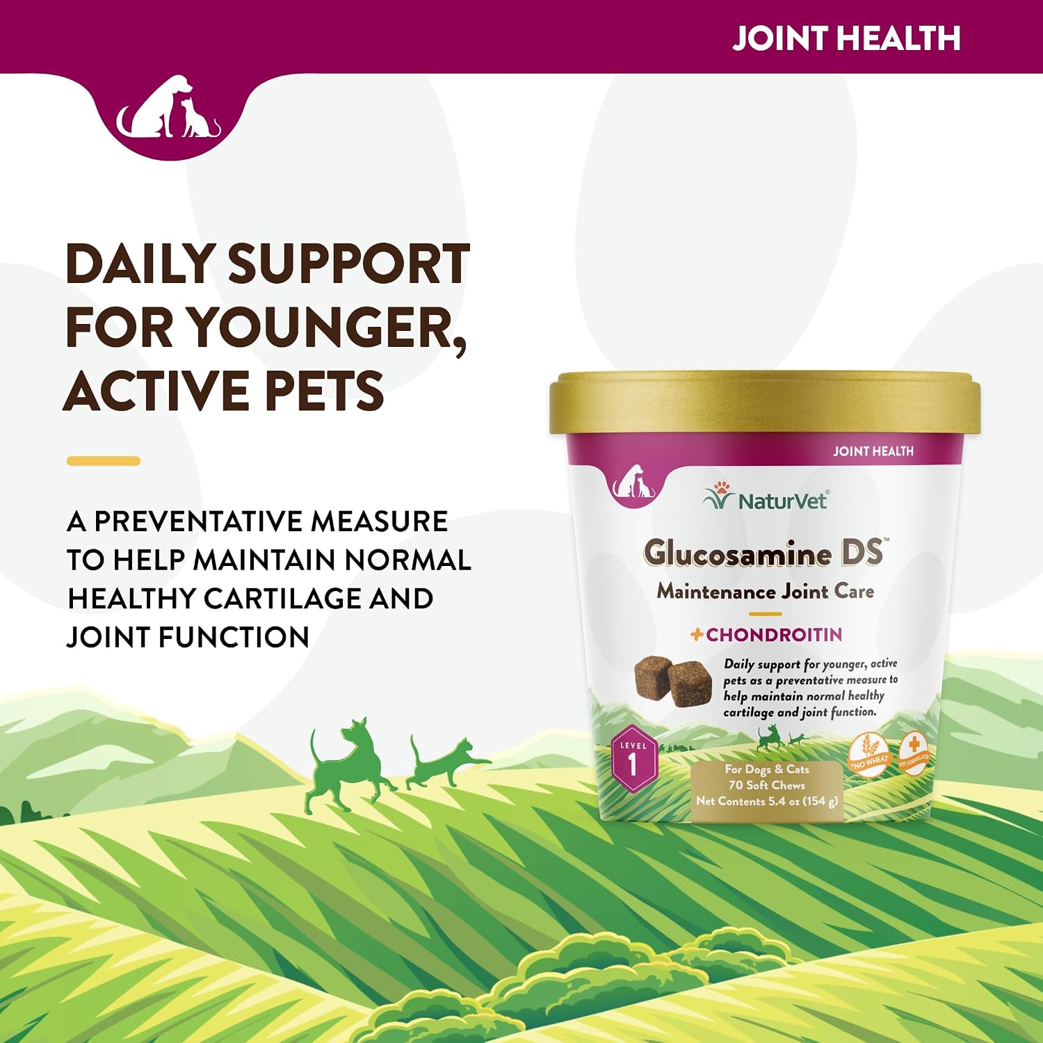 NaturVet – Glucosamine DS Plus - Level 2 Moderate Care – Supports Healthy Hip & Joint Function – Enhanced with Glucosamine, MSM & Chondroitin – for Dogs & Cats–70 Soft Chews