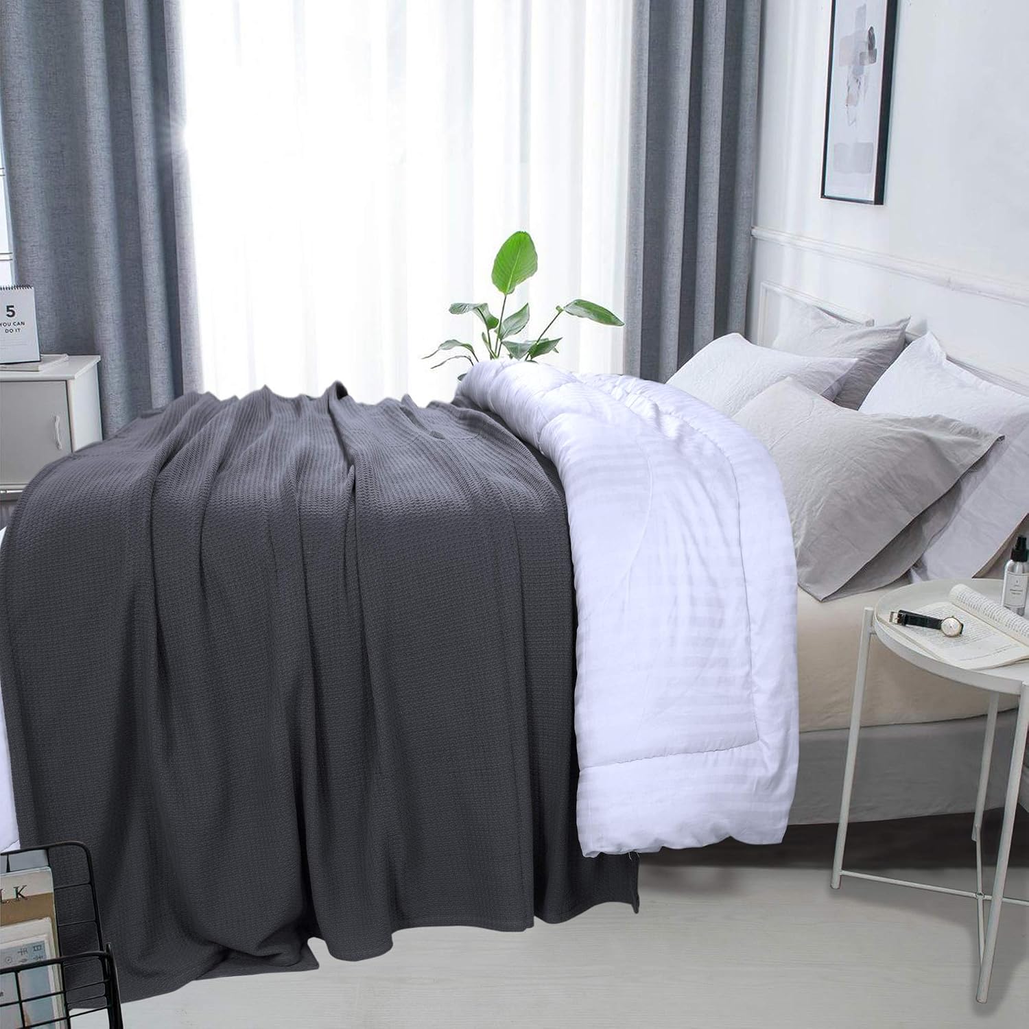 DOLLCENT 100% Cotton Queen Size Blanket for Bed, Premium Soft Combed Lightweight Blankets, Washed Breathable Cozy Bed Throw Blanket, Ivory Queen Cotton Blankets for All Season: Ivory (90"x90")