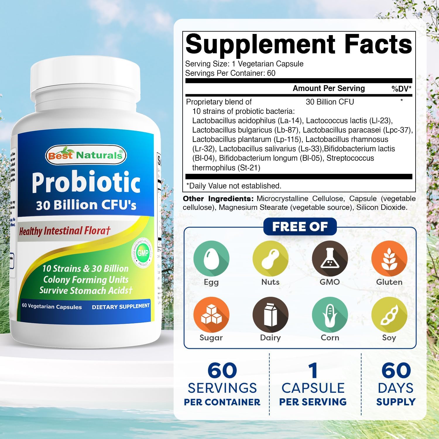 Best Naturals Probiotic 10 Strains & 30 Billion CFU Intestinal Flora, 60 Veggie Capsules (60 Count (Pack of 1))