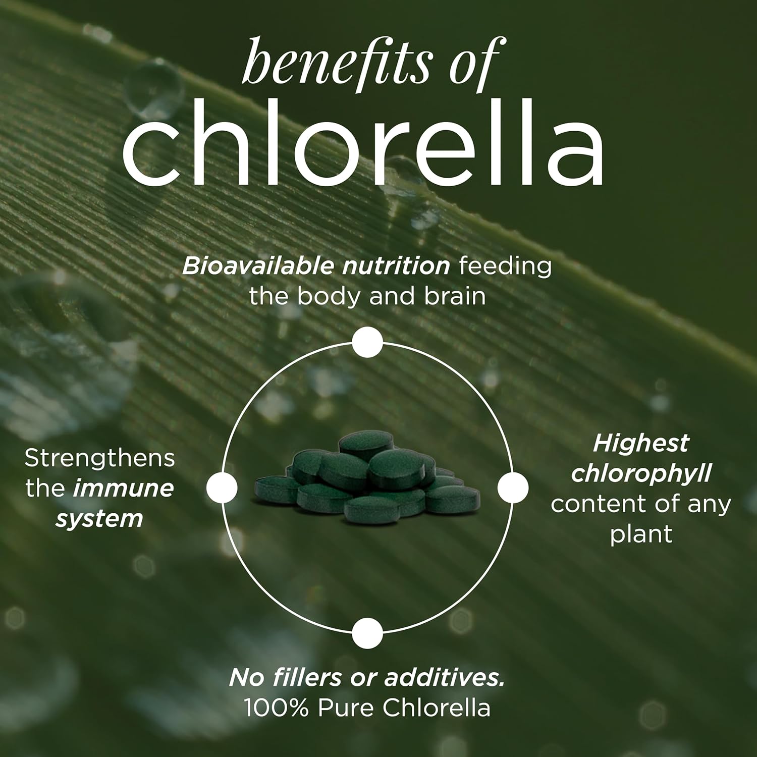 VITALITYbits Spirulina Chlorella Tablets, Organic Algae Blend, 1000 Tablets