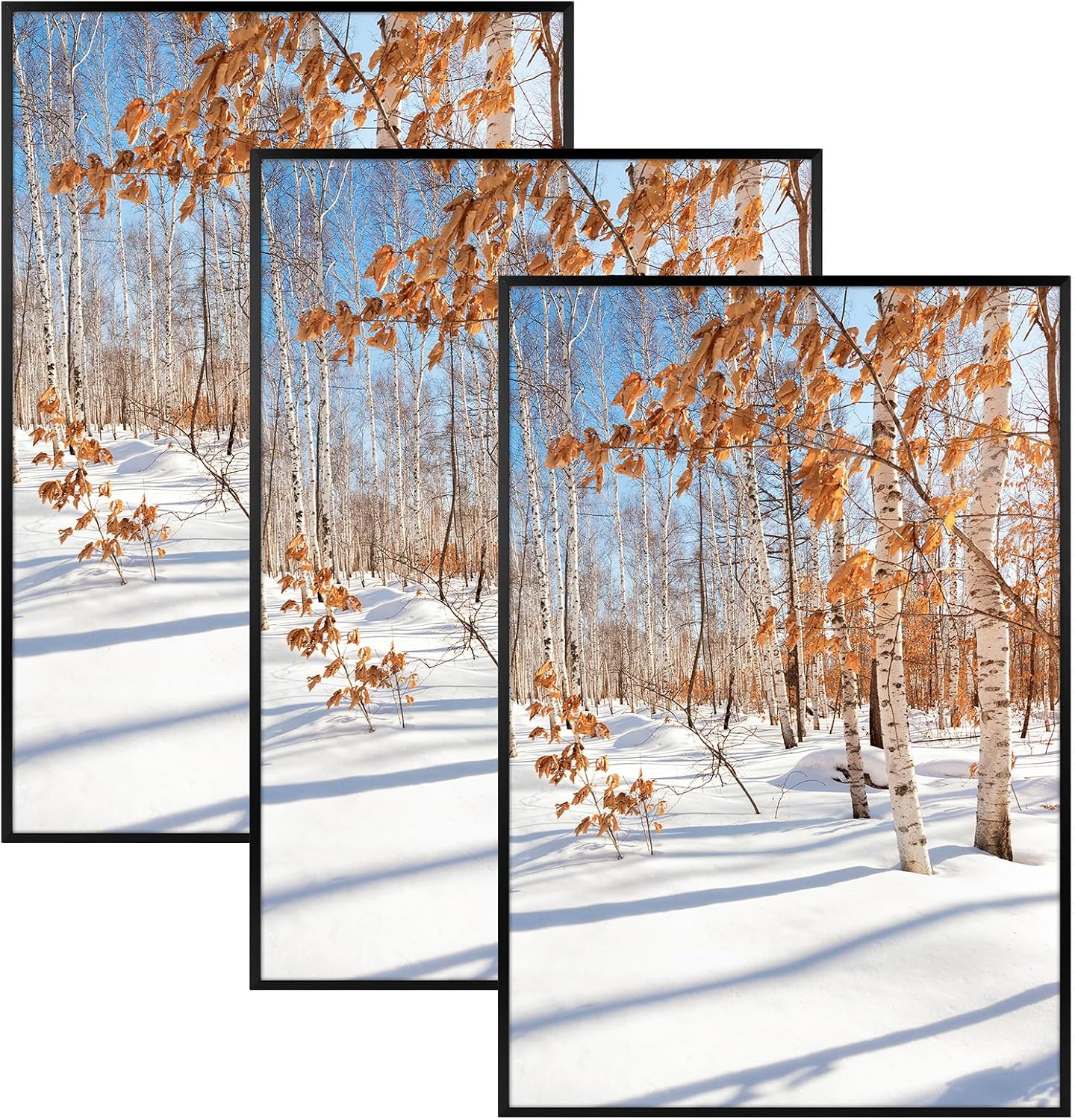 Golden State Art 3 Pack 12x12 Black Aluminum Frames, Real Glass Fronts