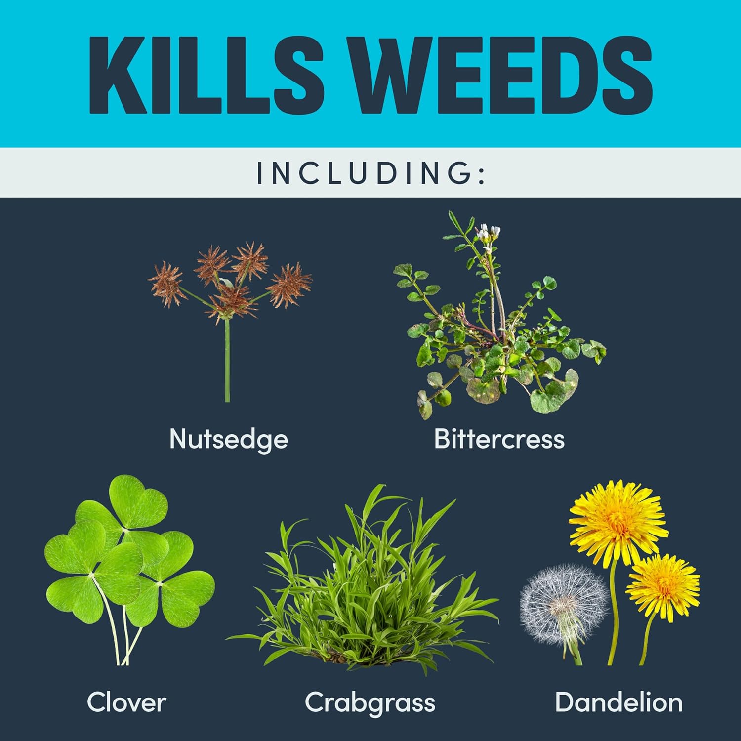Image Herbicide Crabgrass, Nutsedge, & Weed Killer for Lawns 24 fl oz | Ready-to-spray weed spray, water based formula
