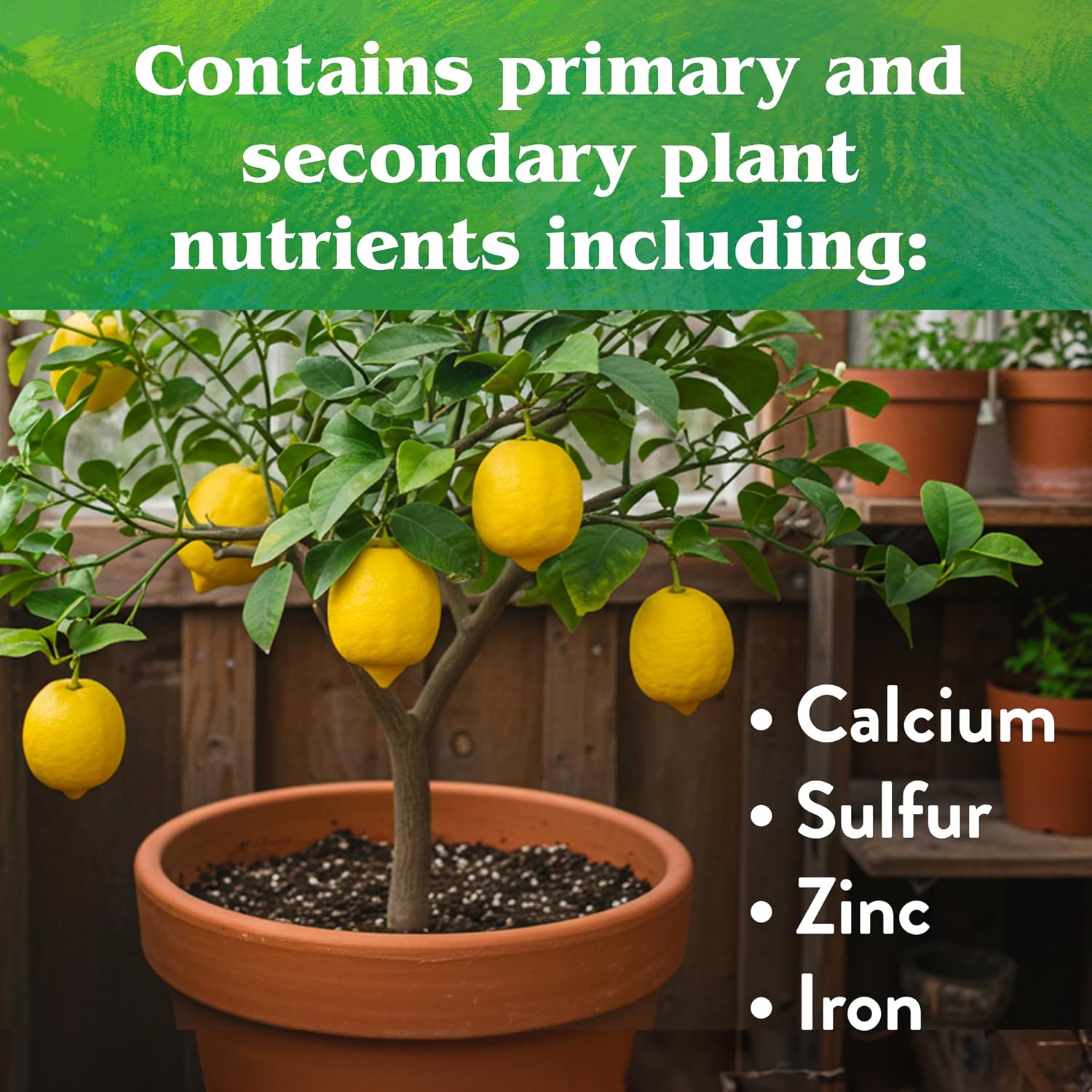 Down To Earth All Natural Fertilizers Organic Citrus Mix - 6-3-3, 1 lb | Plant Food for Lemons, Limes, Oranges, Avocados, Fruit Trees, Vines, Contains Nitrogen, Zinc, Iron, For Blossoms and Fruits