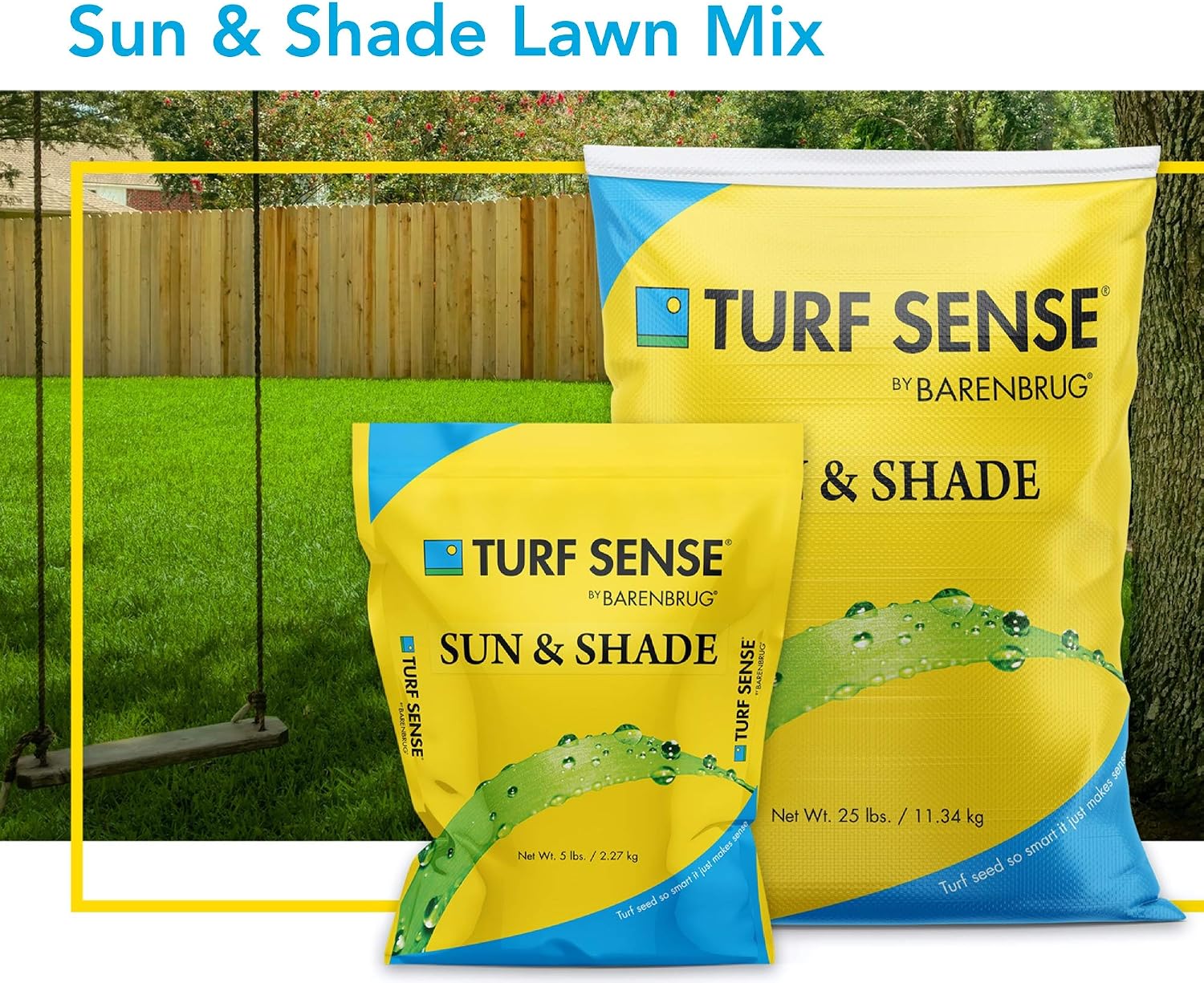 Barenbrug 25625 Turf Sense Grass Seed Grows in Areas of Sun and Partial Shade, 25 LB Bag