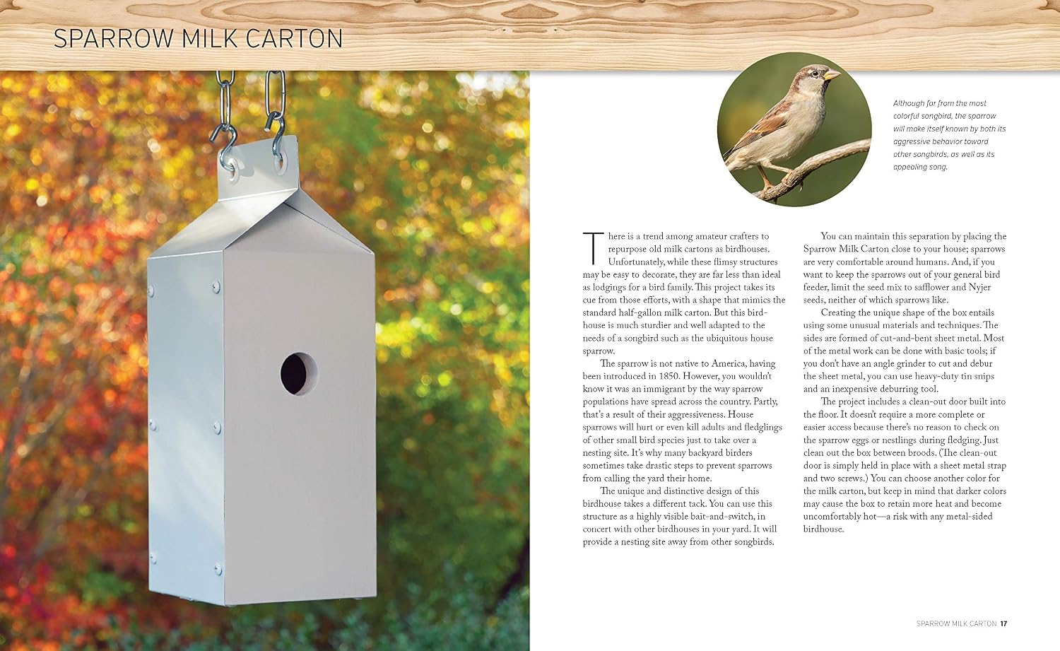 Build-It-Yourself Birdhouses: 25+ DIY Birdhouses and Bird Feeders