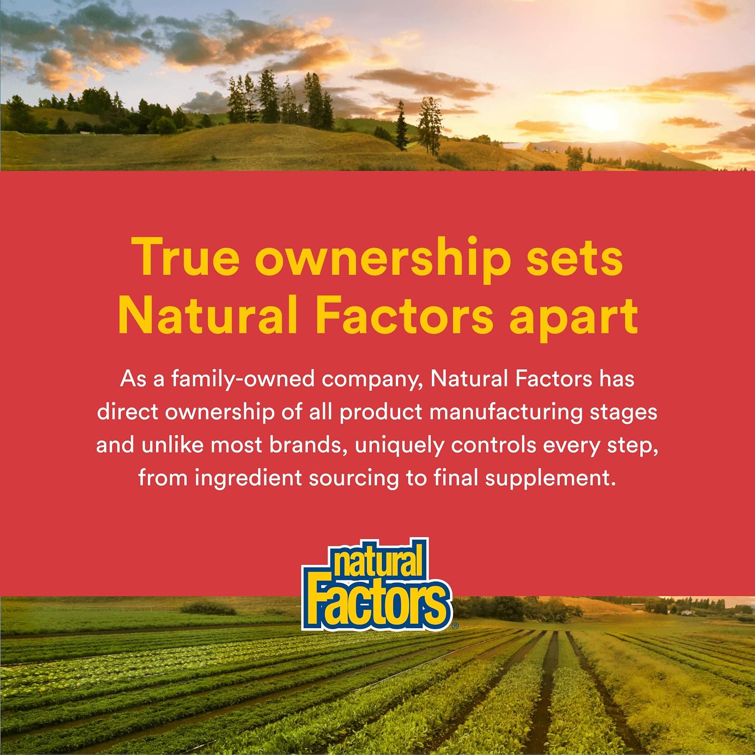 Natural Factors, Magnesium Citrate 150 mg, Muscle and Heart Health Formula, 180 Capsules