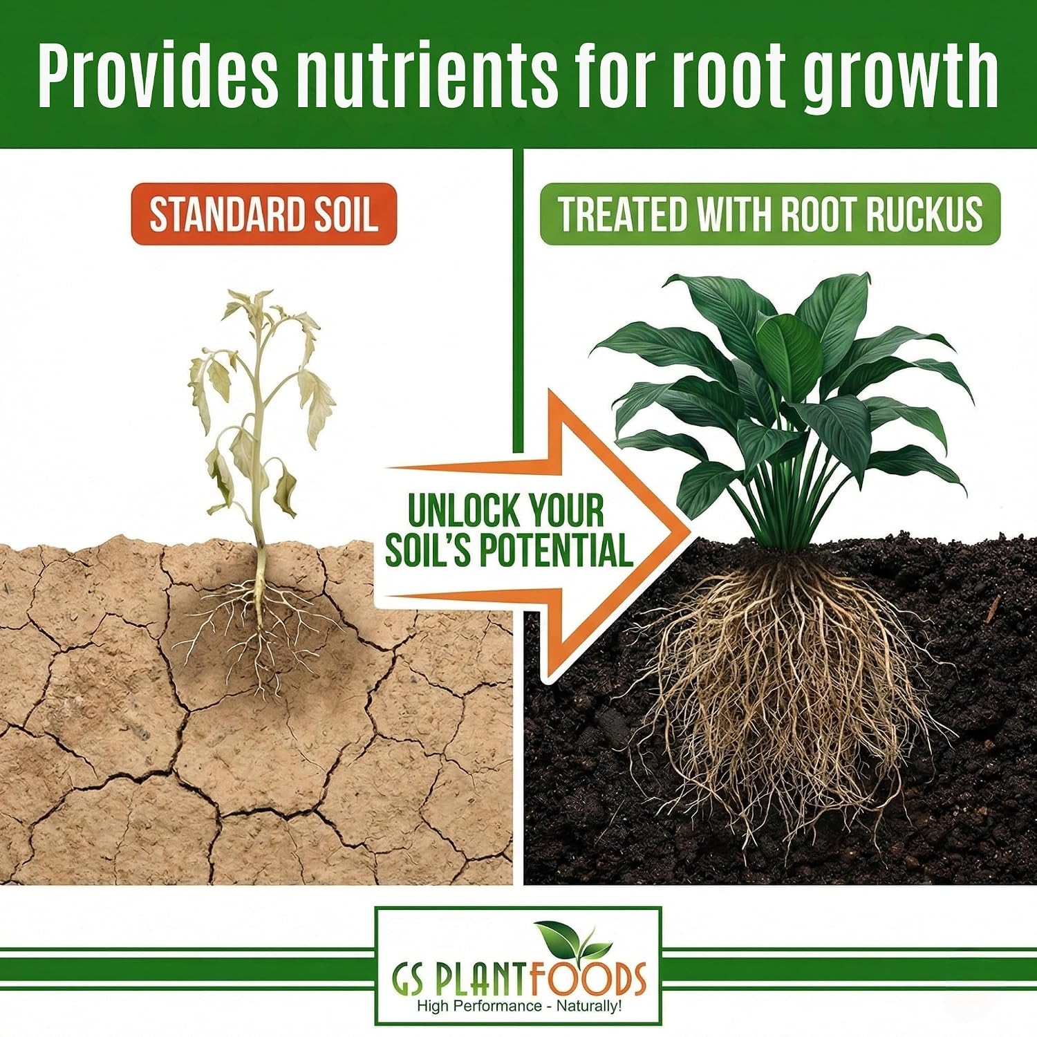 GS Plant Foods Root Ruckus Compost Fertilizer Organic Plant Food - Turbo Charged Compost for Plants - Humic Acid & Sea Kelp Nutritional Root Supplement for Lawns, Soil, Shrubs & Vegetables - 1 Gallon