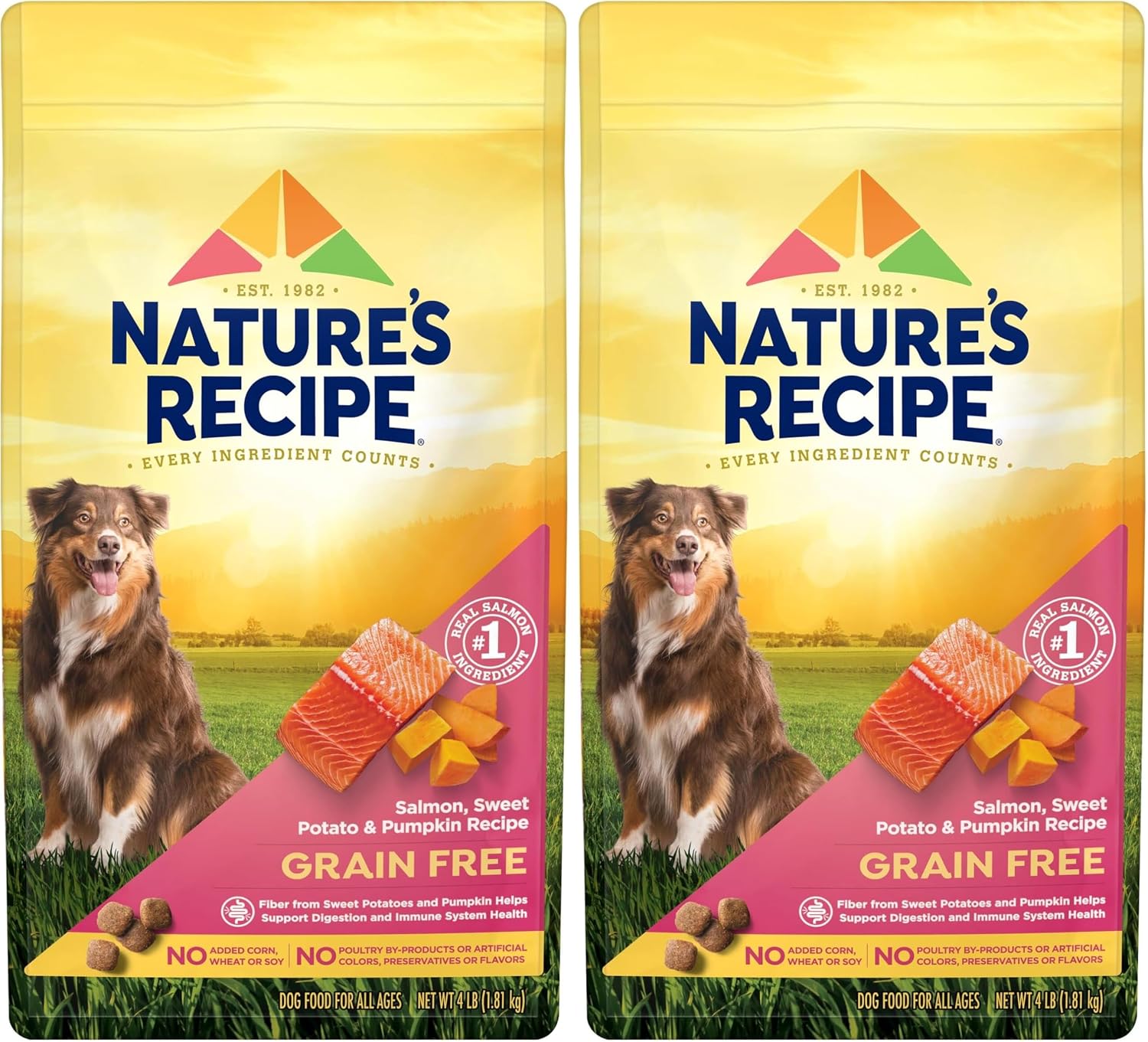 Nature's Recipe Grain Free Salmon Dry Dog Food, 24 lb. Bag | Fiber From Sweet Potatoes & Pumpkin Helps Support Digestion and Immune System Health
