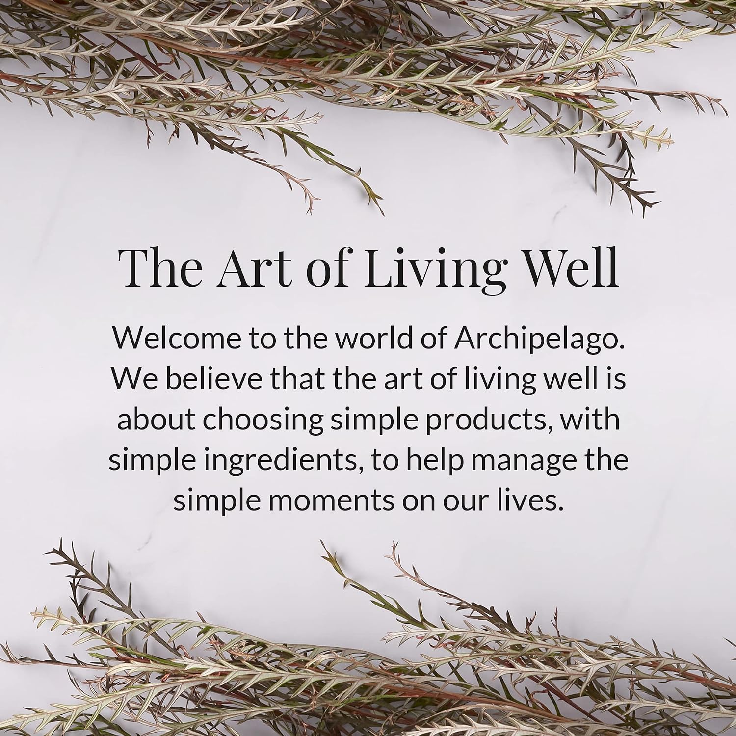 Archipelago Botanicals Bergamot Tobacco Soy Candle, 8.6 oz | Hand-Poured Premium Wax, Burns Approx. 60 Hours, Soy Candle in Glass Jar, 4.5 Inch