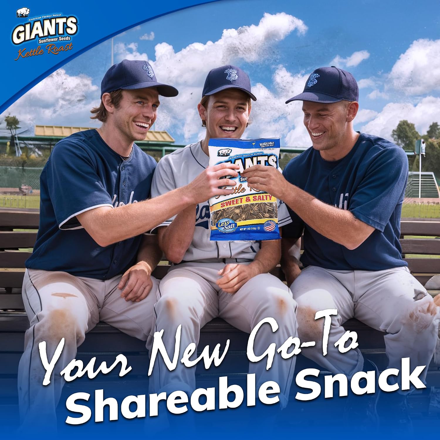 GIANTS Original Sunflower Seeds - Sunflower Seeds to Eat, Sunflower Seeds Bulk, Lightly Salted Sunflower Seeds for Eating, High Protein Snack - 5.75 oz Resealable Bags (Case of 12)