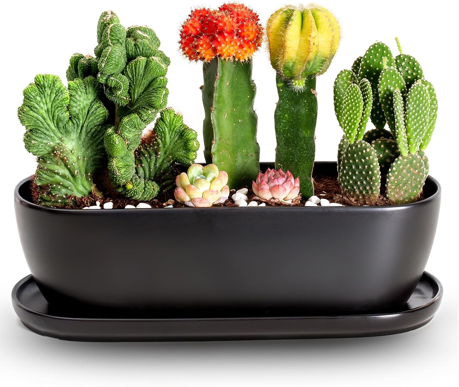 E-liu 11 Inch Oval Ceramic Planter Pot with Drainage Hole Saucers